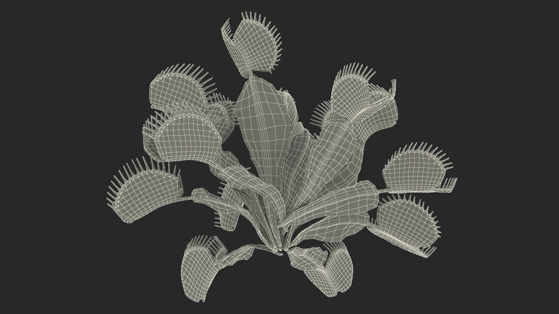 3D Dionaea Muscipula Green model