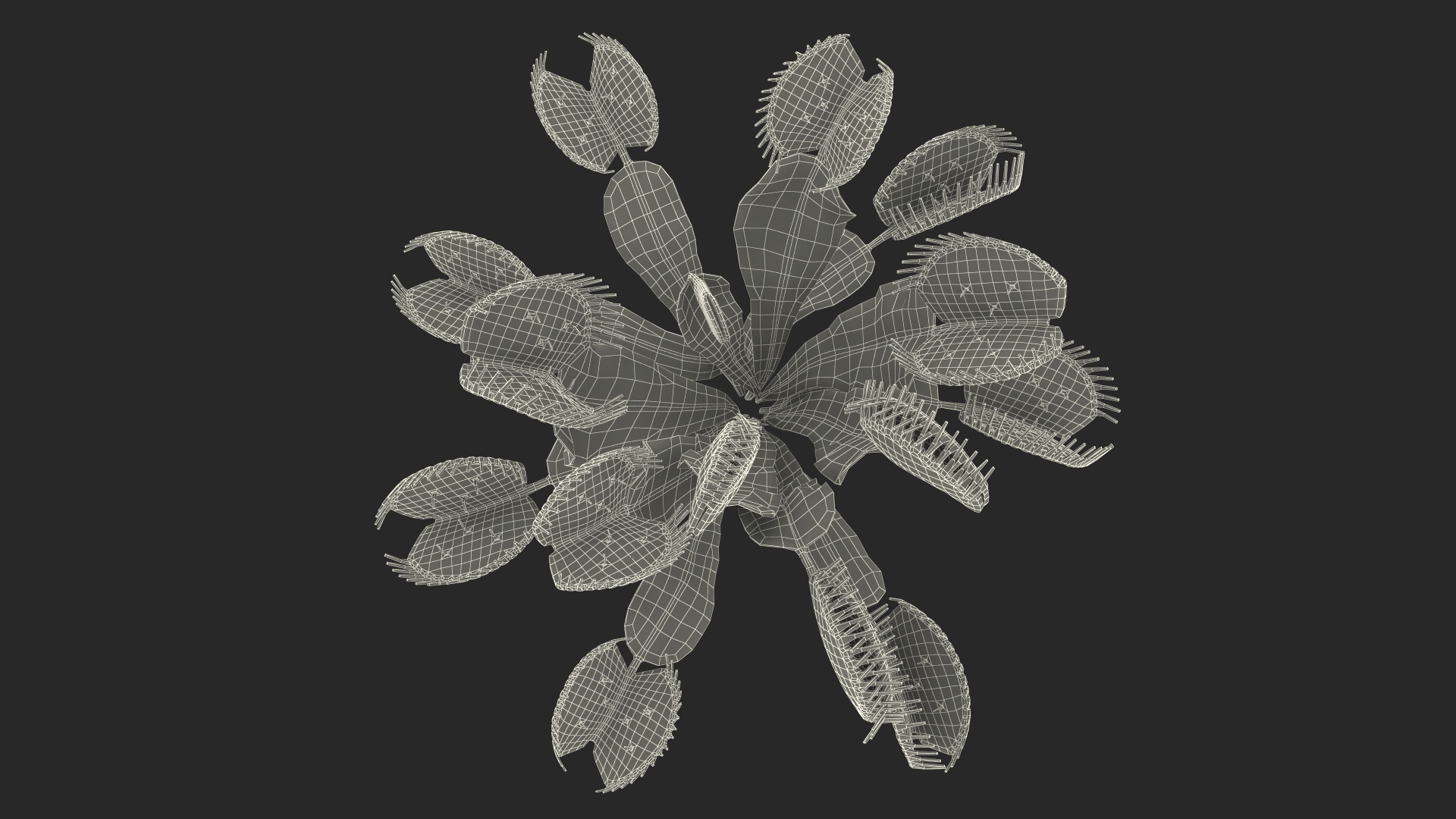 3D Dionaea Muscipula Green model