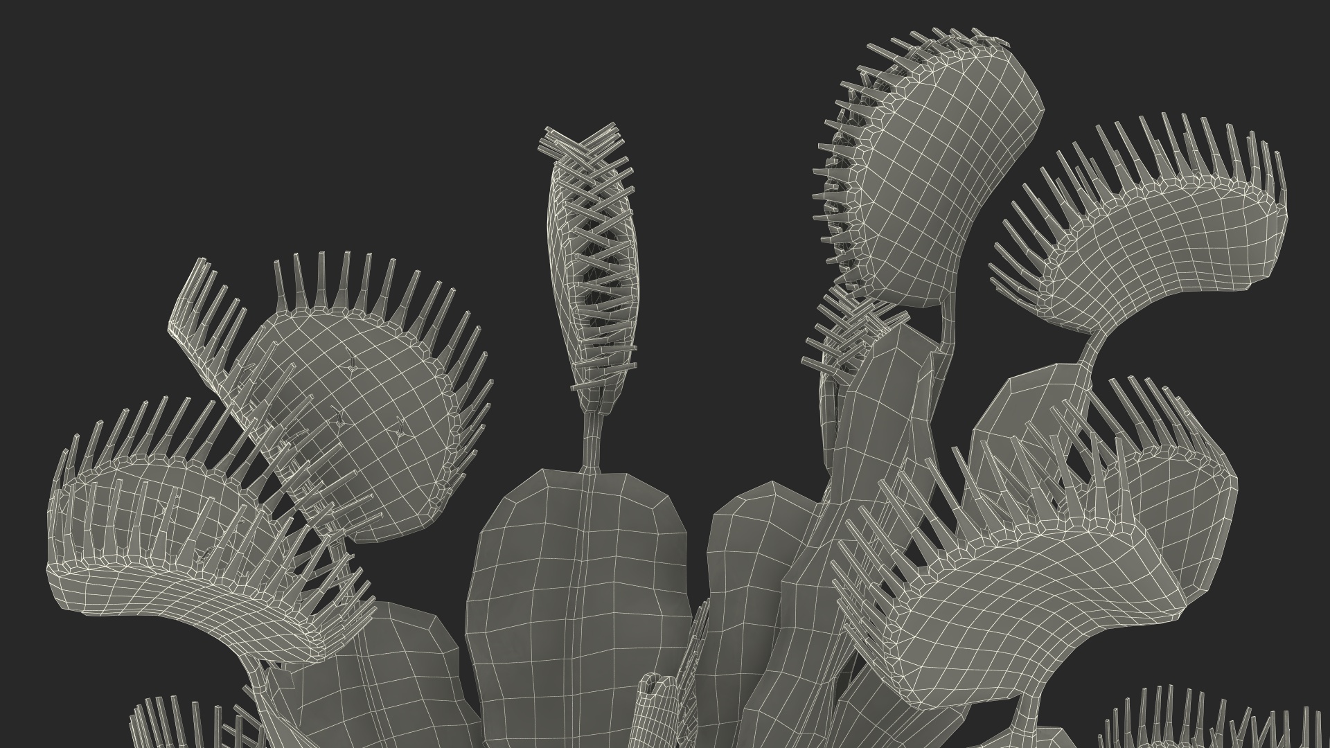 3D Dionaea Muscipula Green model