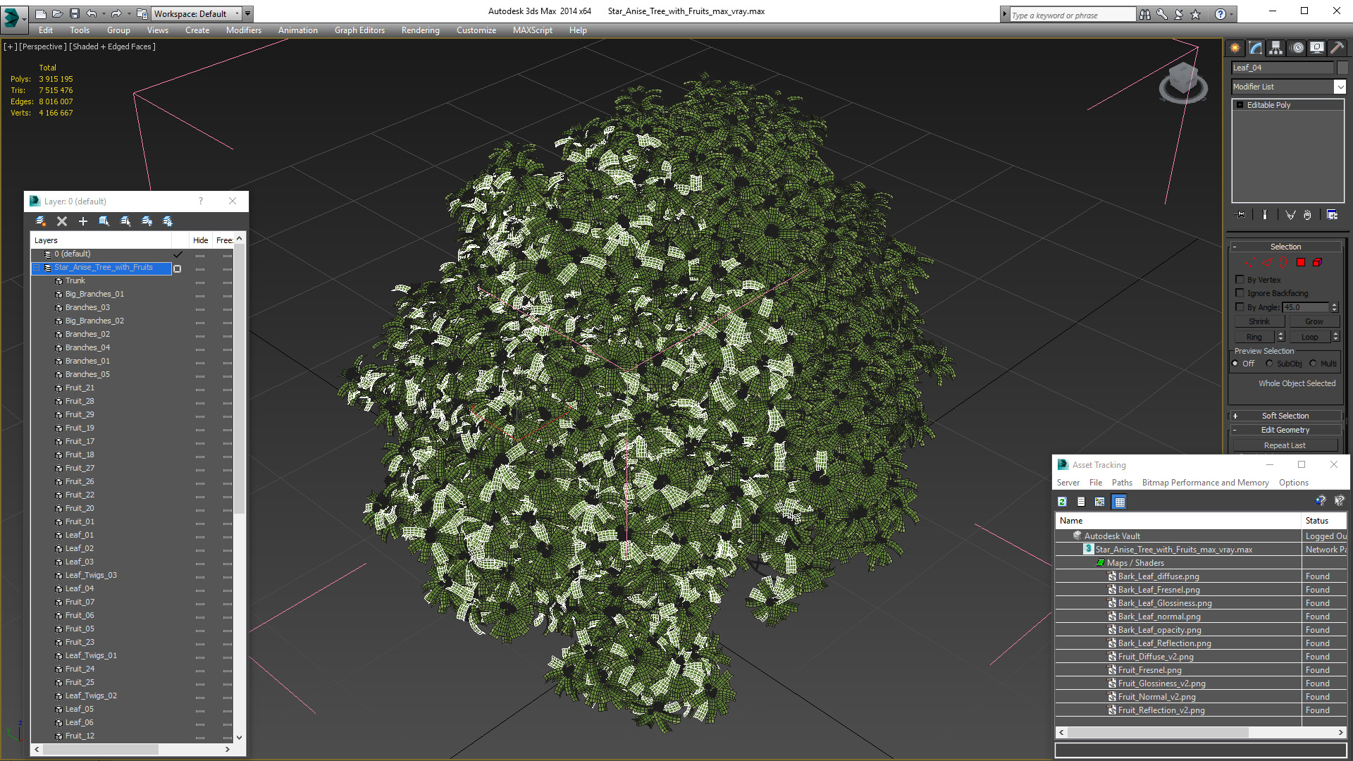 Star Anise Tree with Fruits 3D