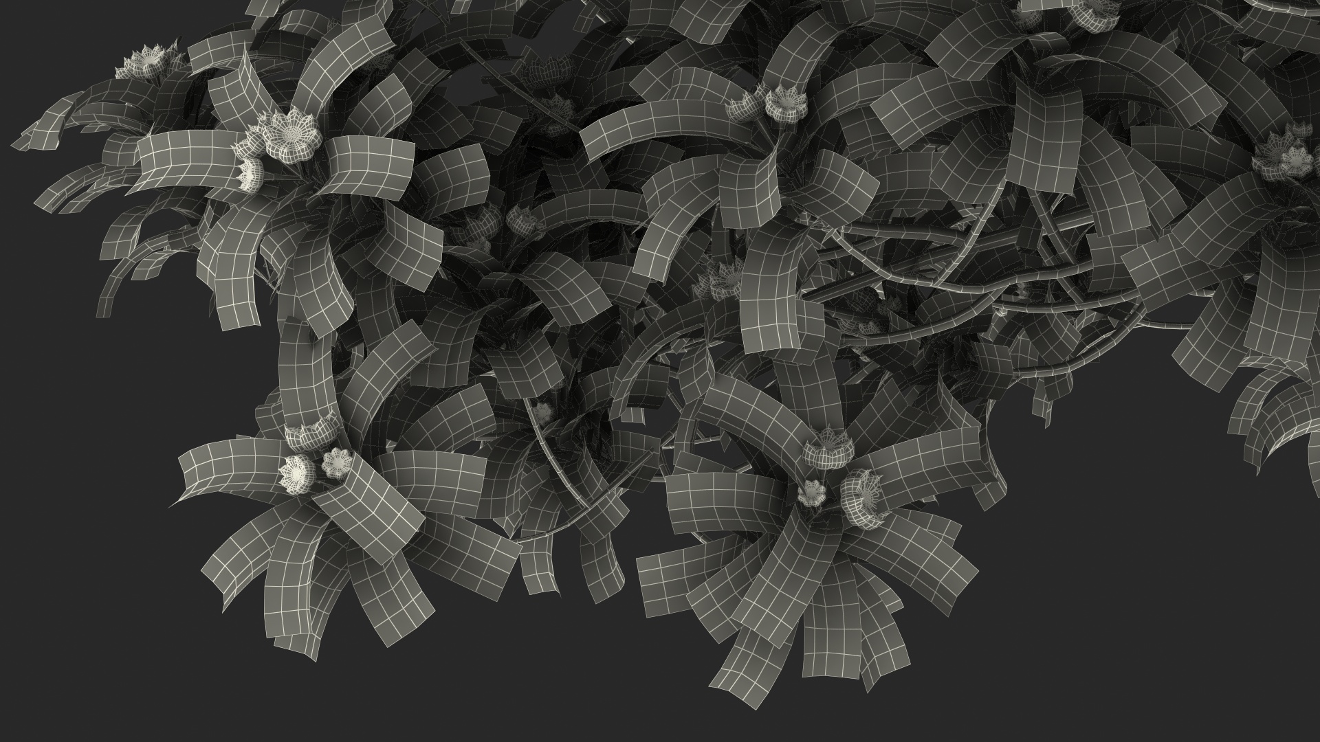 Star Anise Tree with Fruits 3D