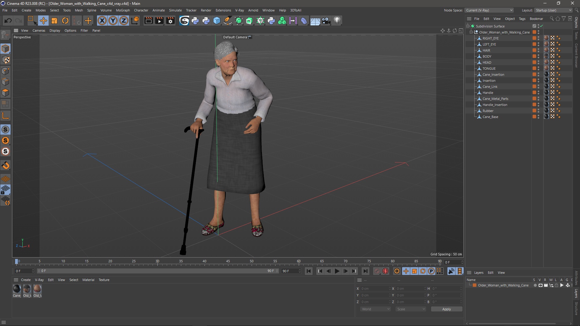 Older Woman with Walking Cane 3D model