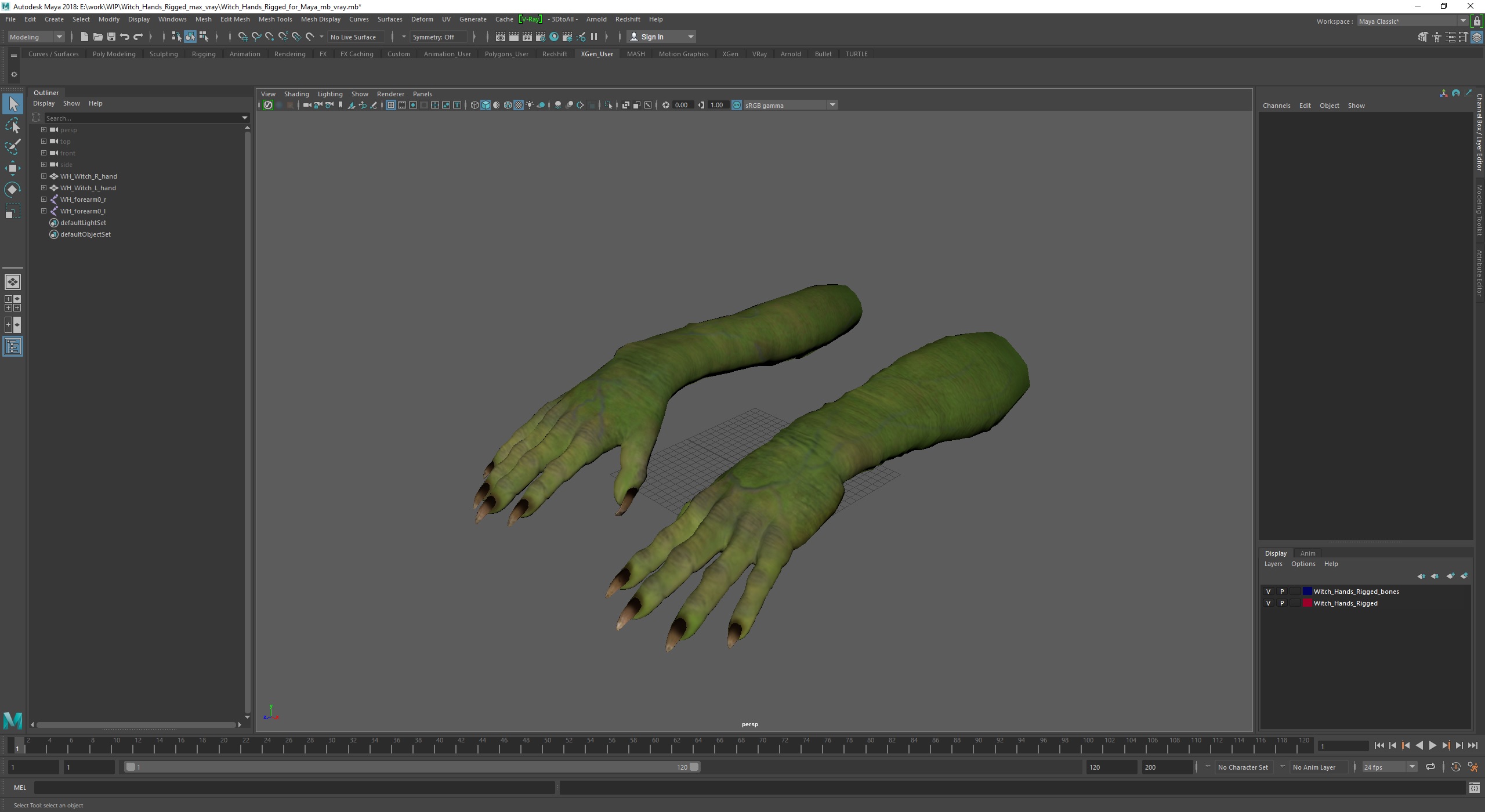 Witch Hands Rigged for Maya 3D