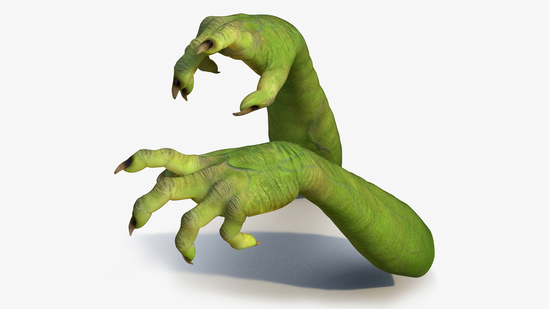 Witch Hands Rigged for Maya 3D