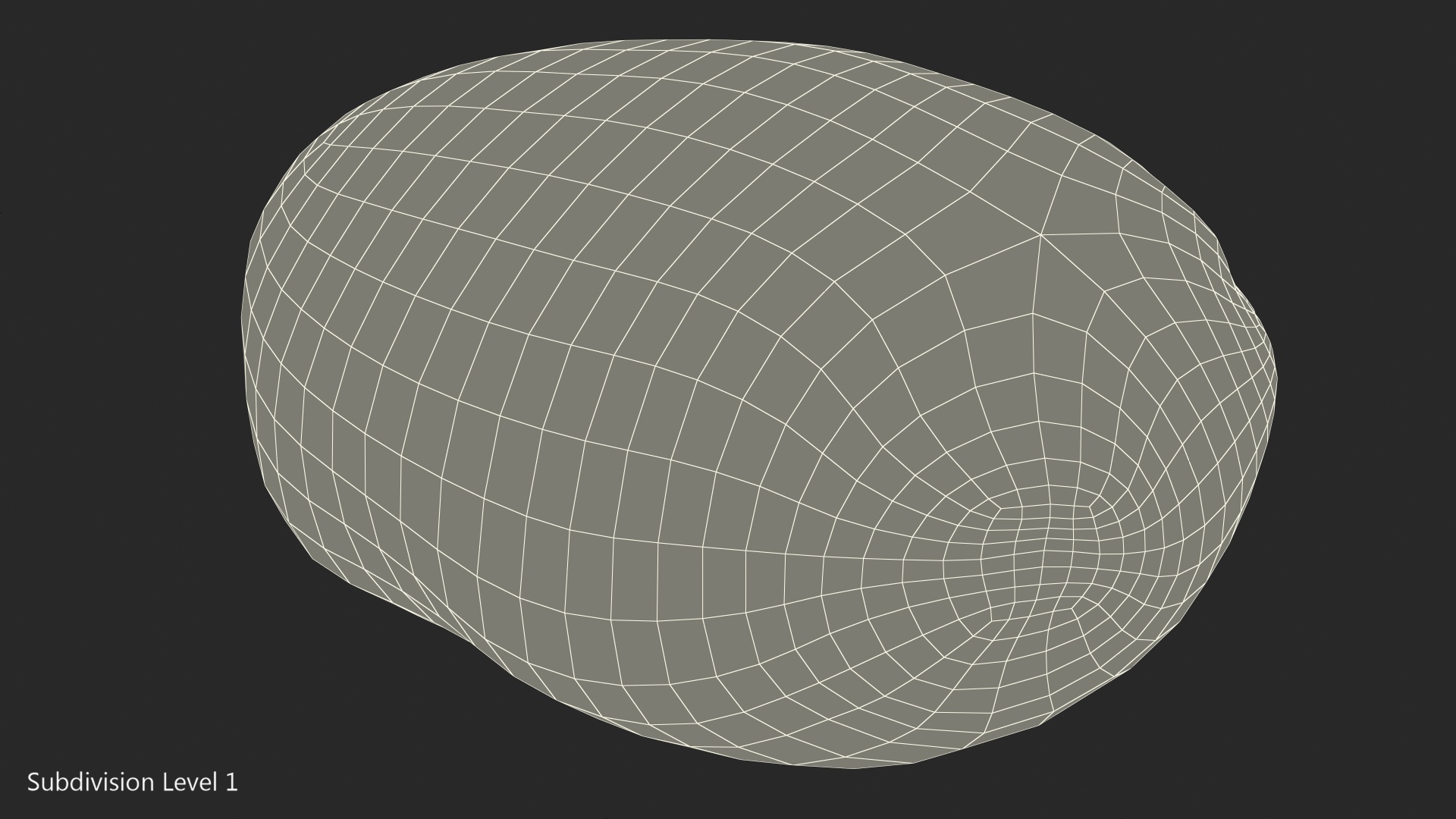 3D Human Bladder model