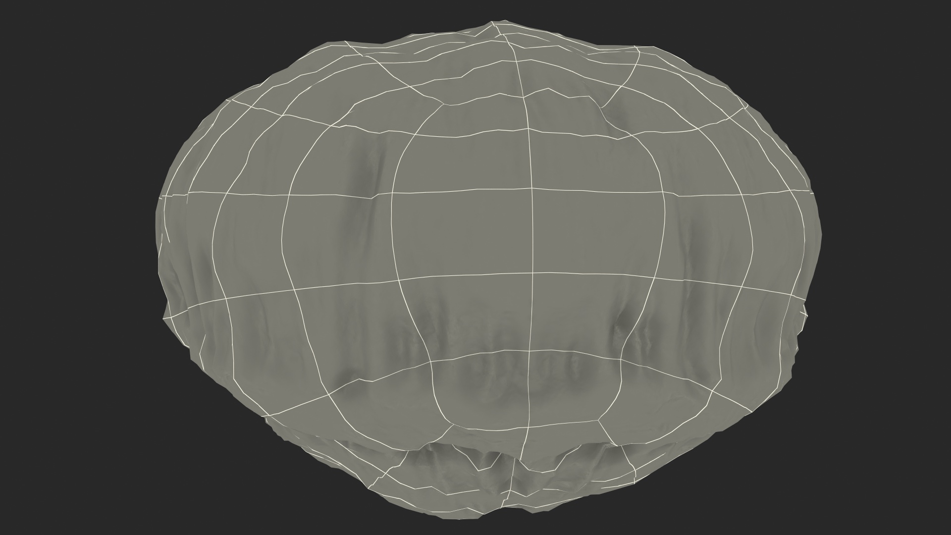 3D Human Bladder model