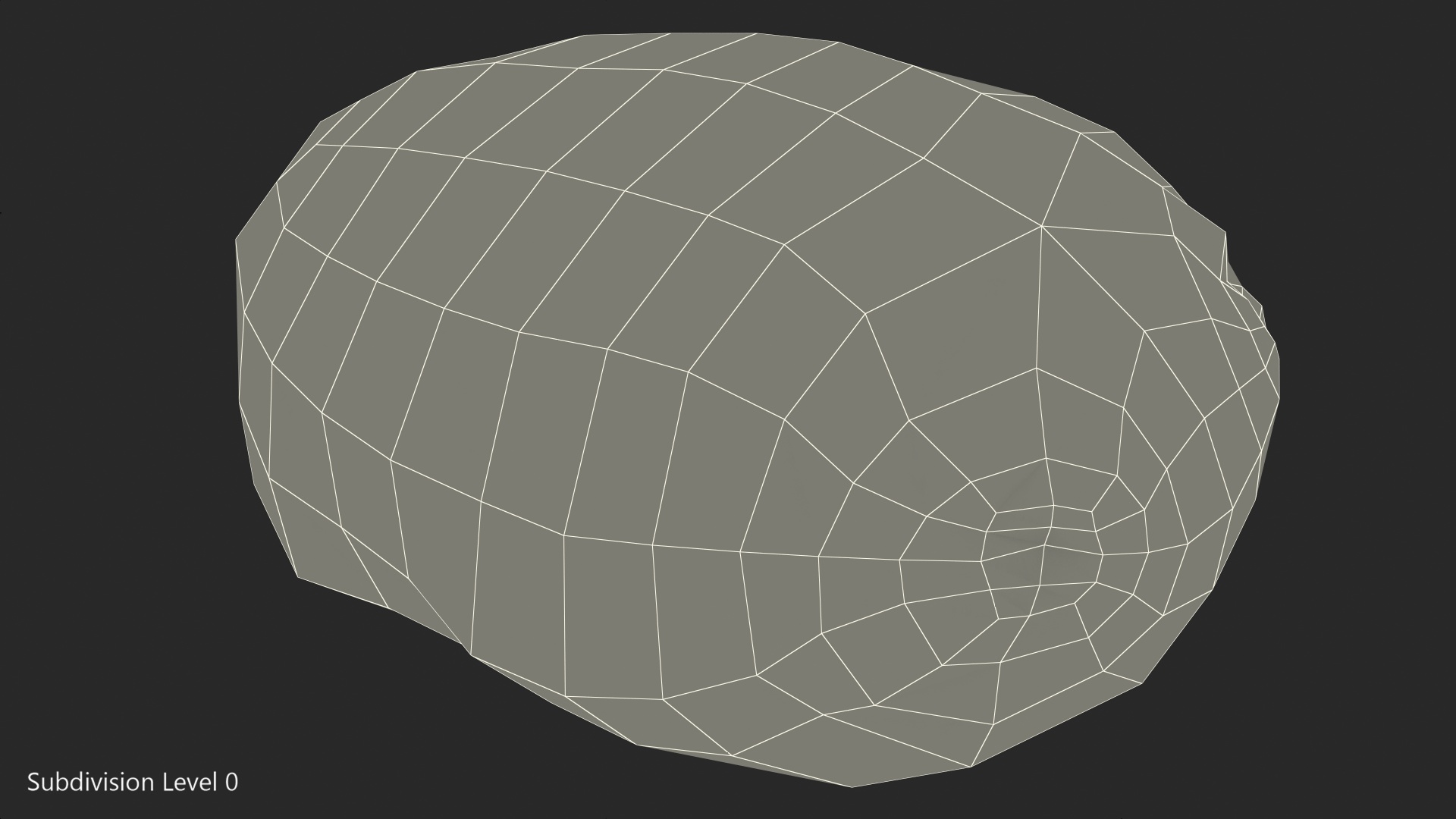 3D Human Bladder model