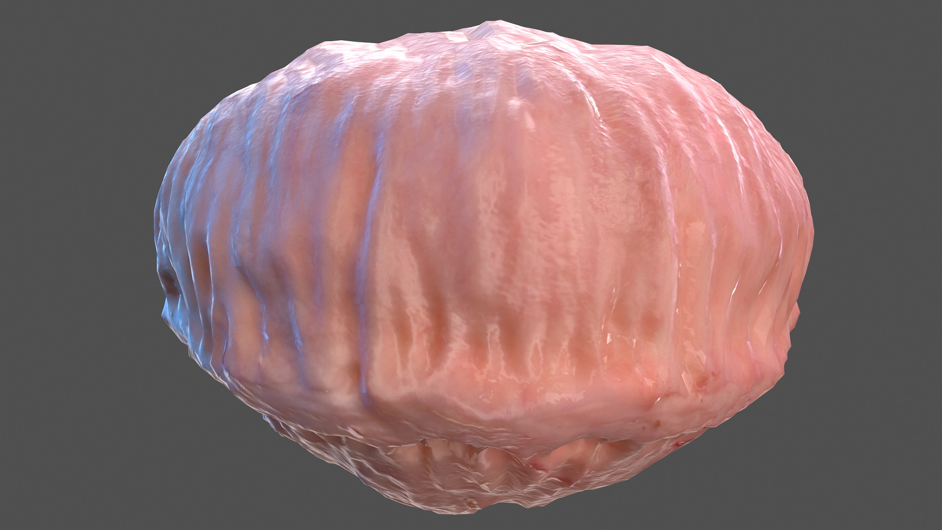 3D Human Bladder model