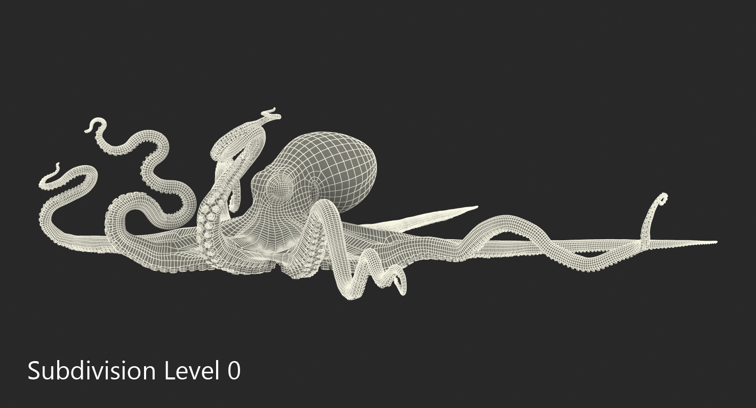 3D Large Blue Octopus model
