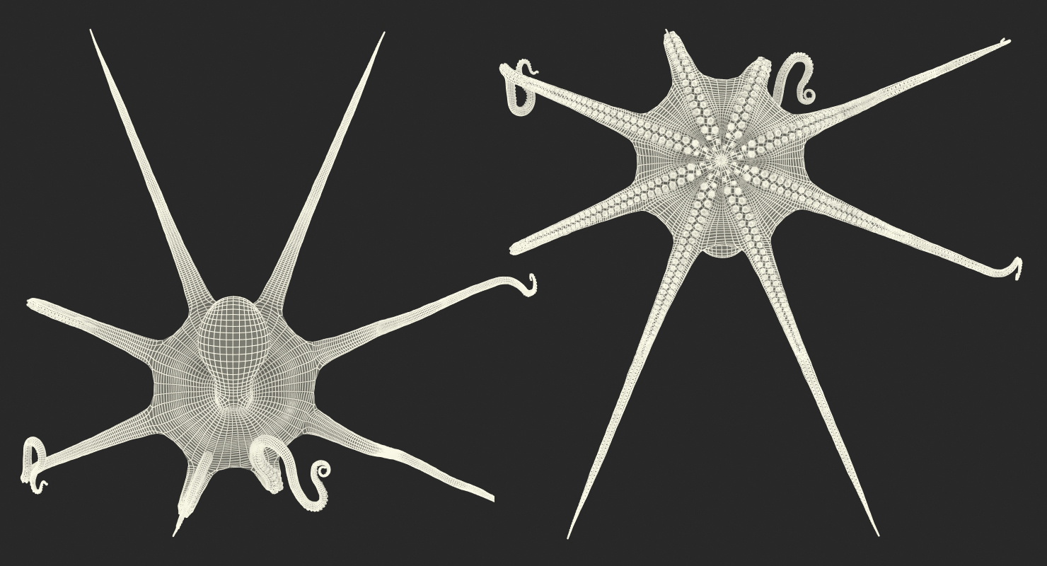 3D Large Blue Octopus model