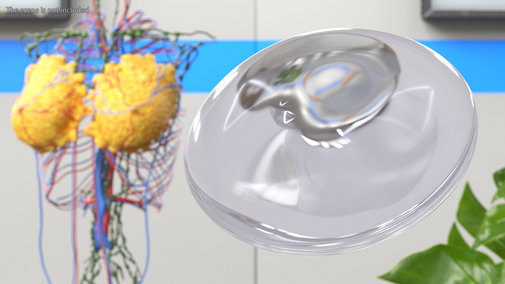 3D model Low Plus Breast Implant Smooth