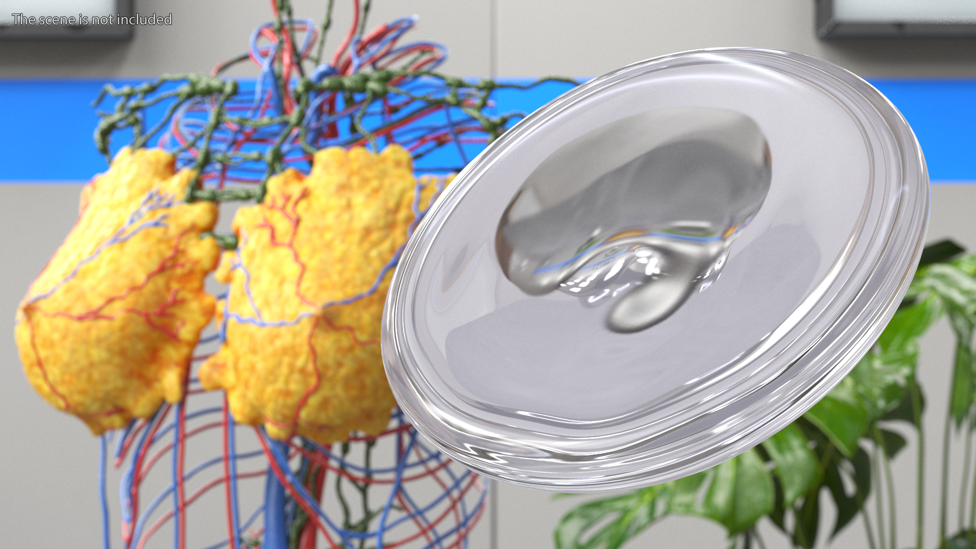 3D model Low Plus Breast Implant Smooth