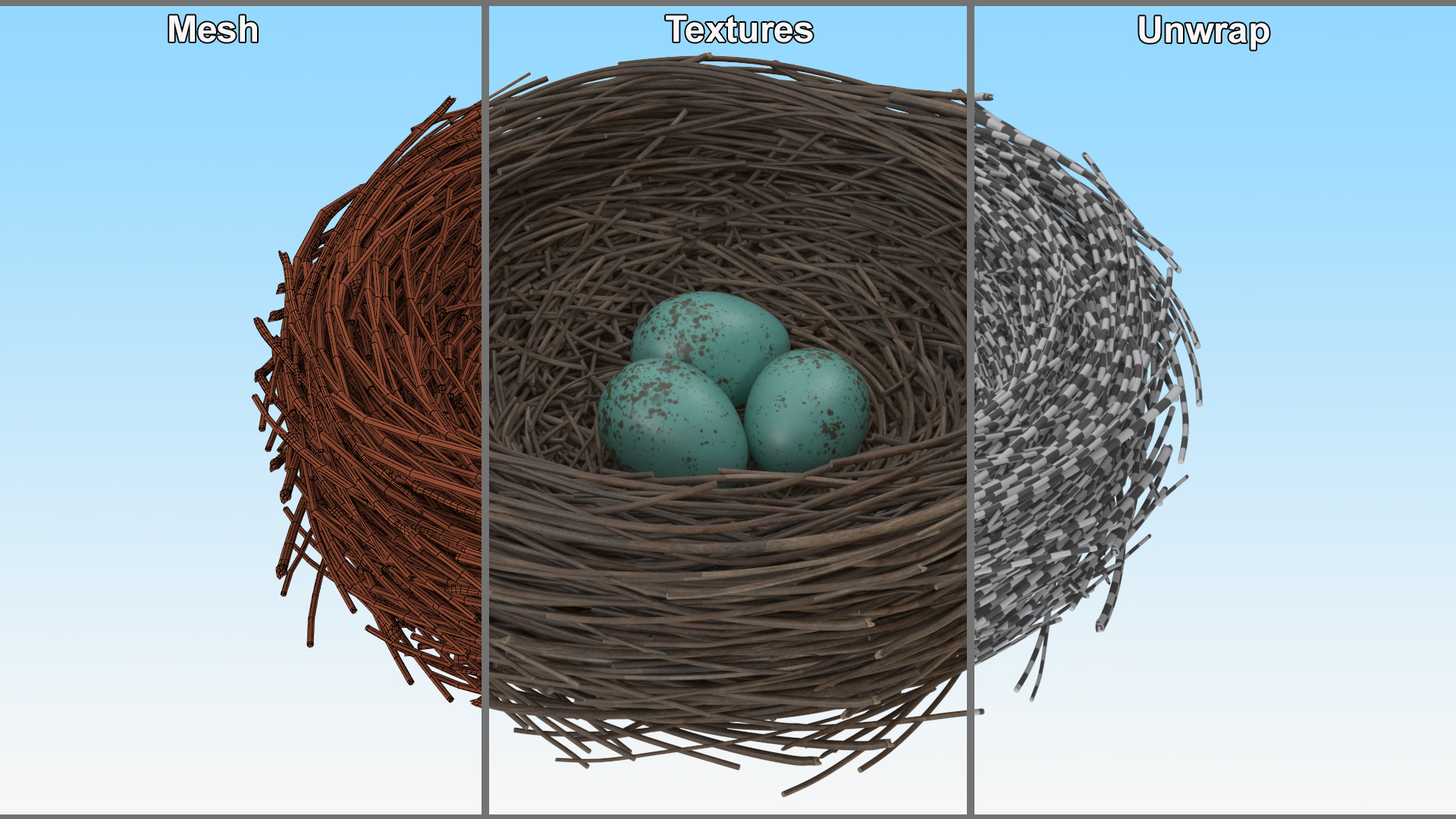 Bird Nest 3D model