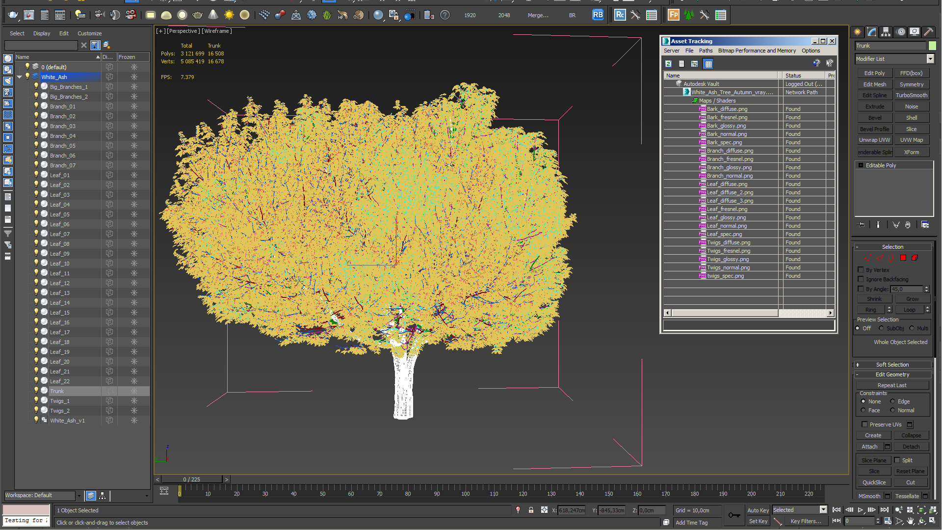 3D White Ash Tree Autumn
