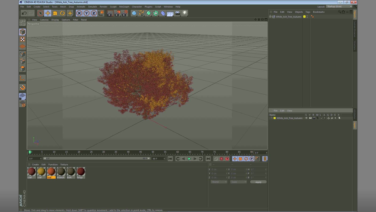 3D White Ash Tree Autumn