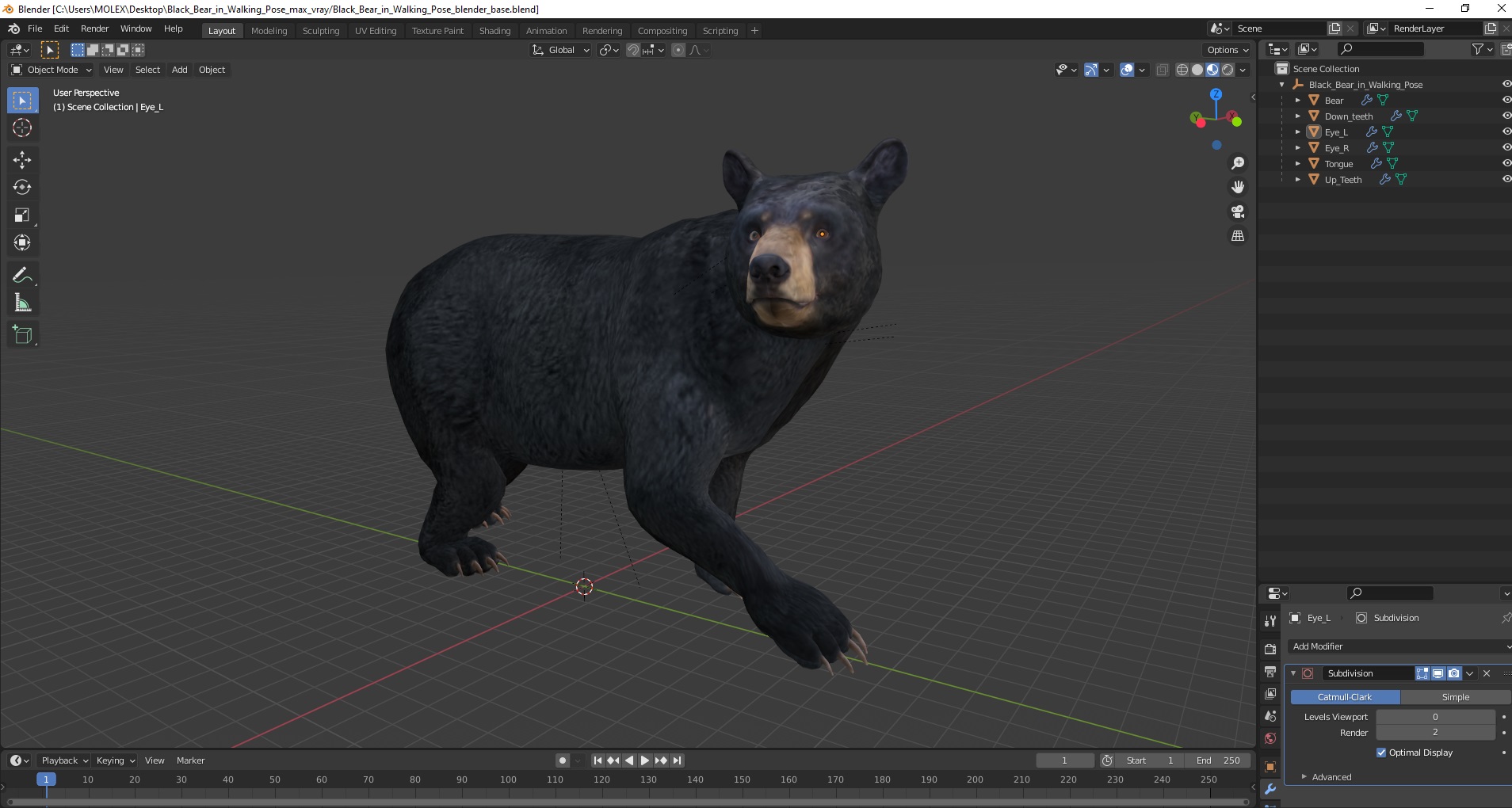 3D Black Bear in Walking Pose