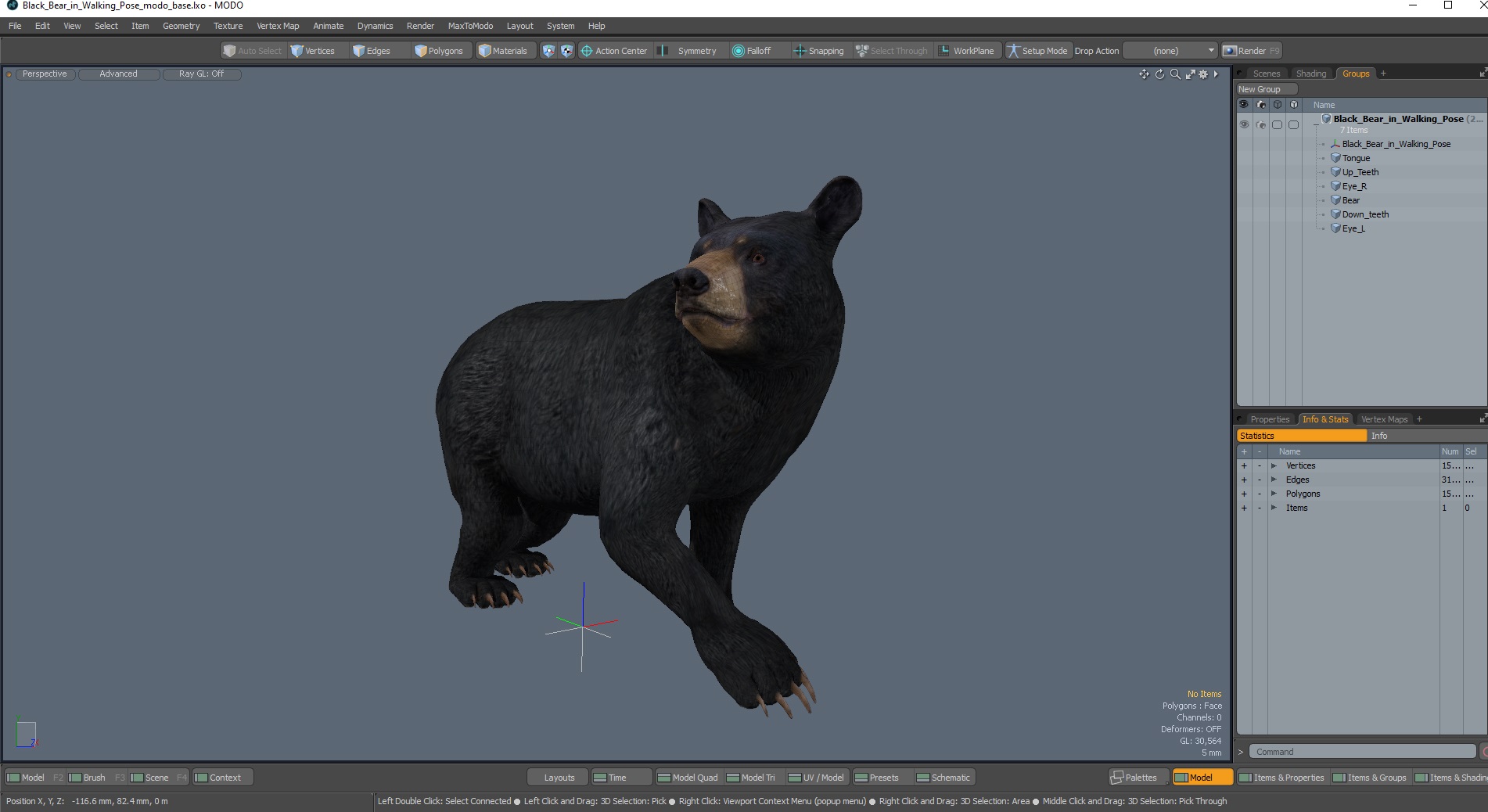 3D Black Bear in Walking Pose