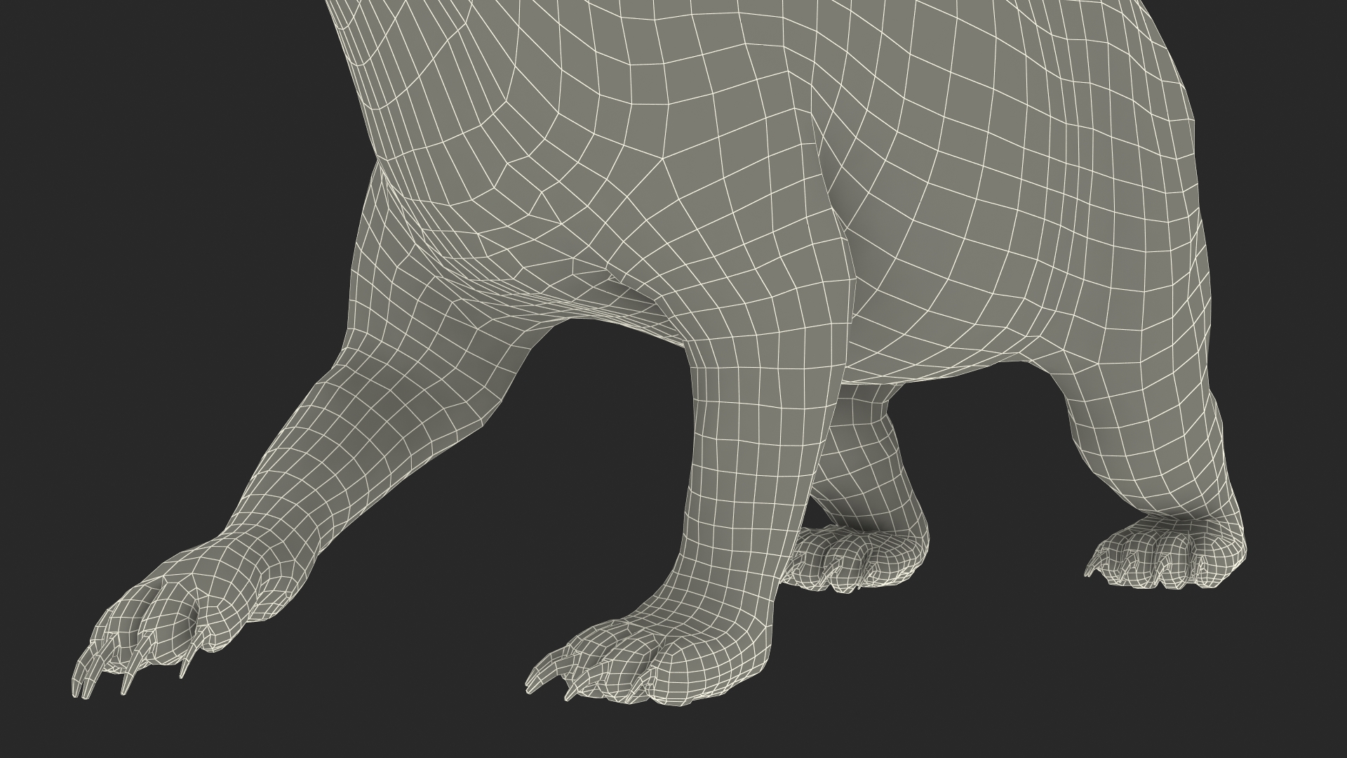 3D Black Bear in Walking Pose