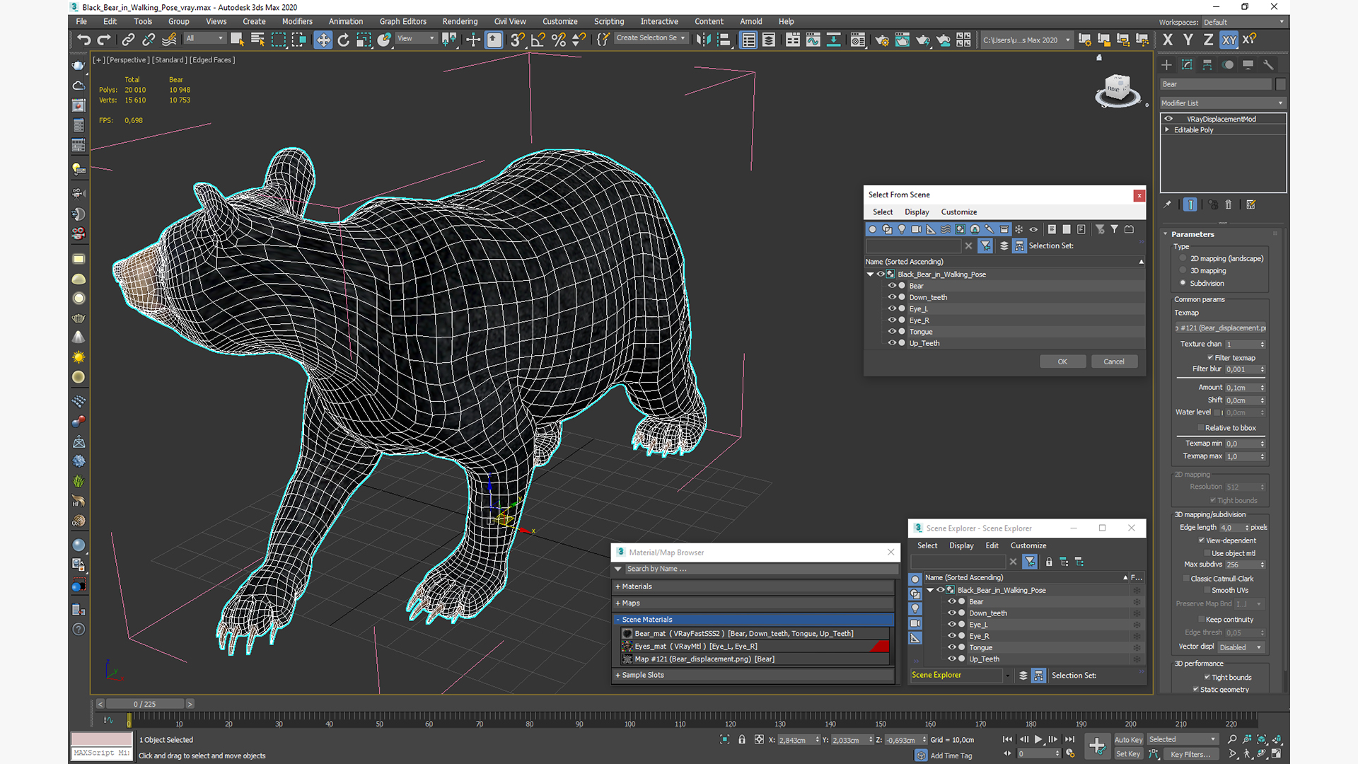 3D Black Bear in Walking Pose