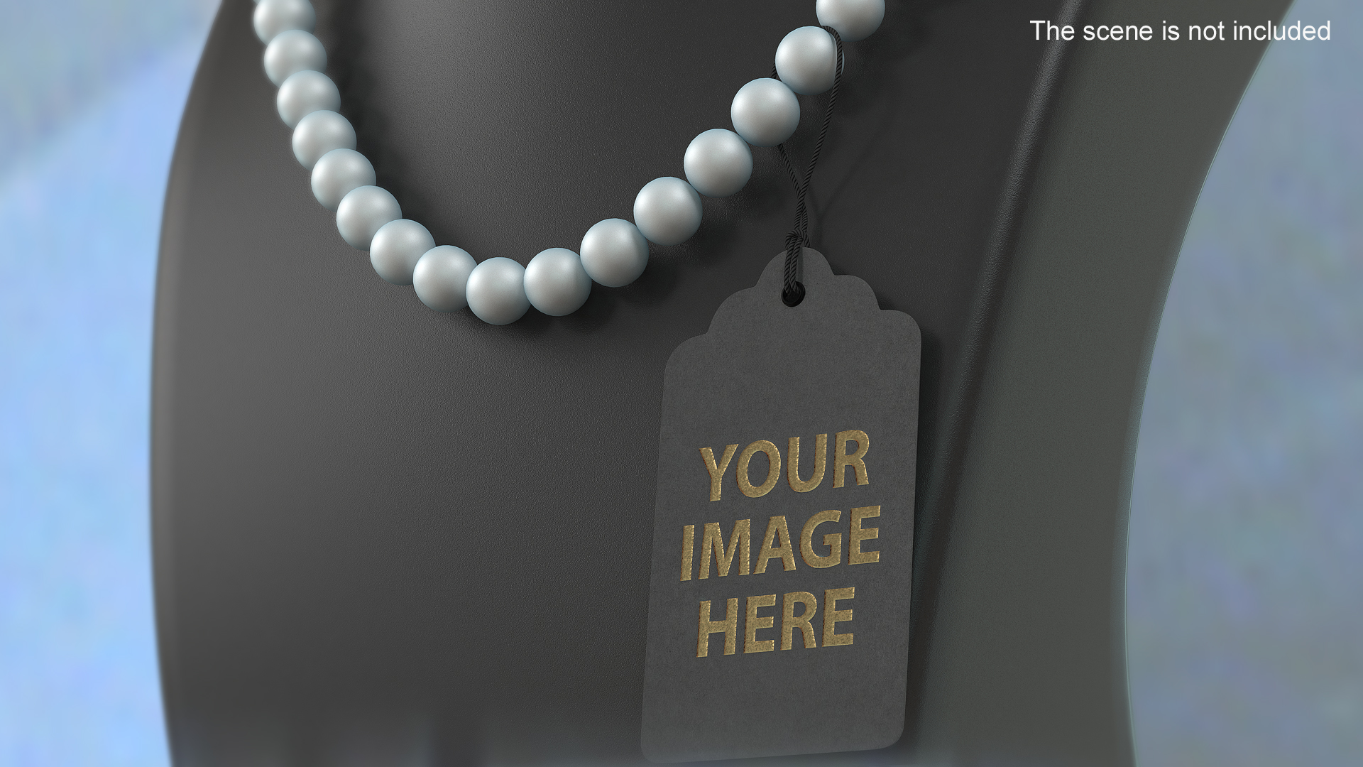 Label Tag Rounded Double 3D model