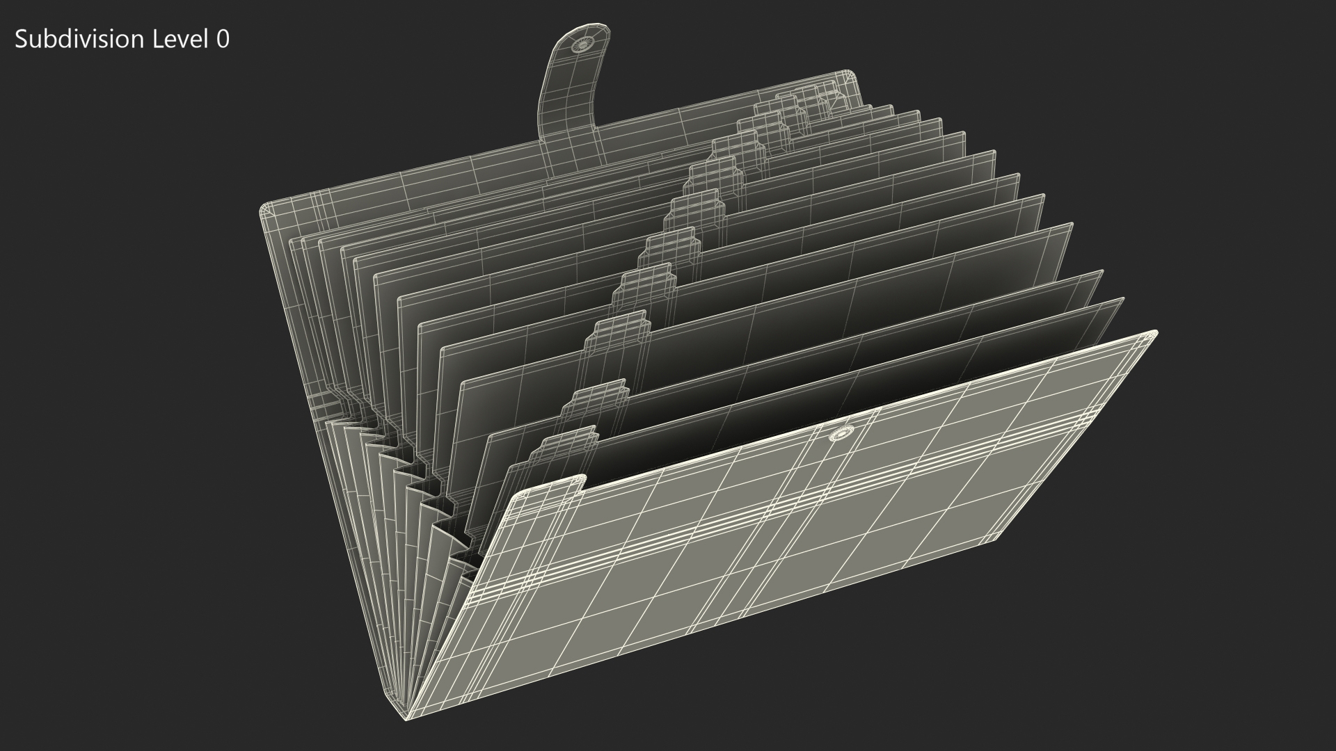 3D Expanding File Folder Open Blue