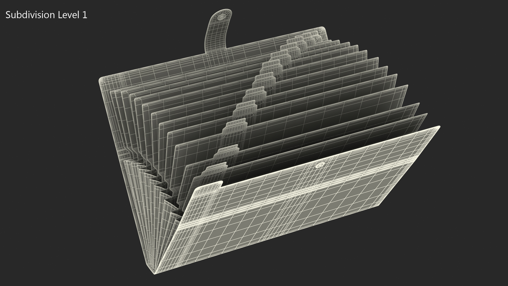 3D Expanding File Folder Open Blue