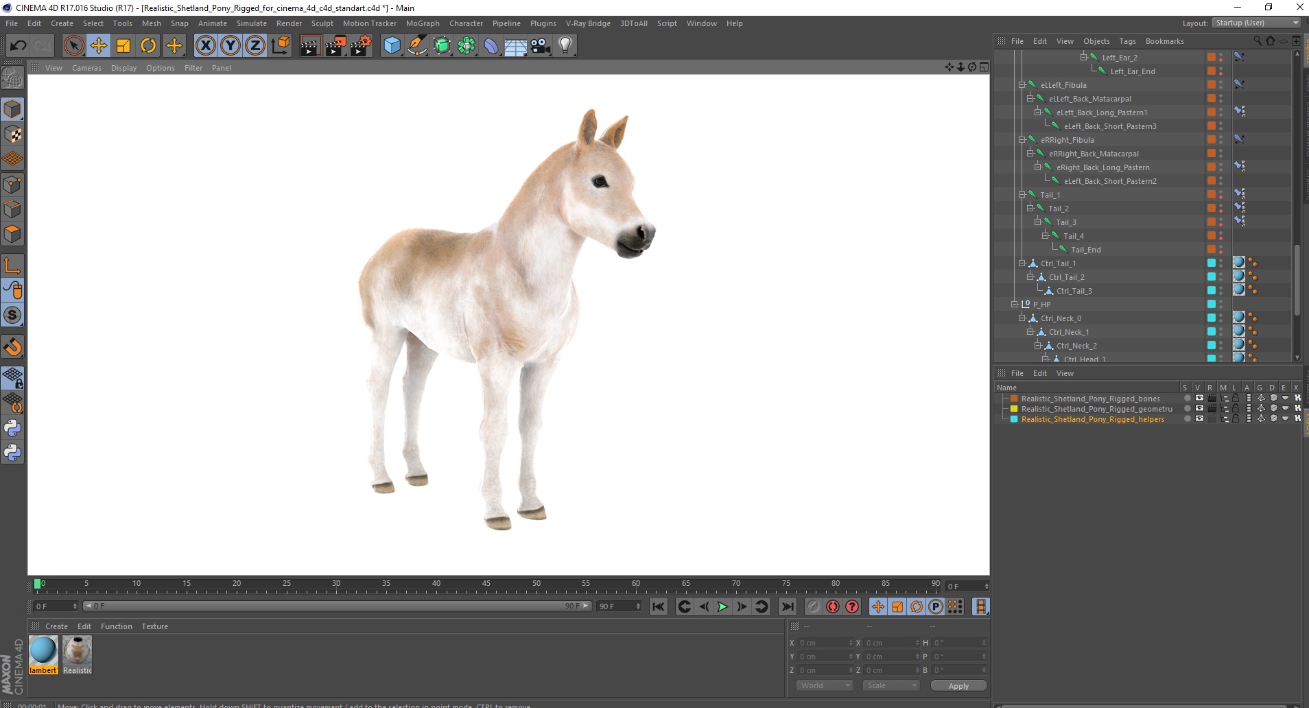 Realistic Shetland Pony Rigged for Cinema 4D 3D model