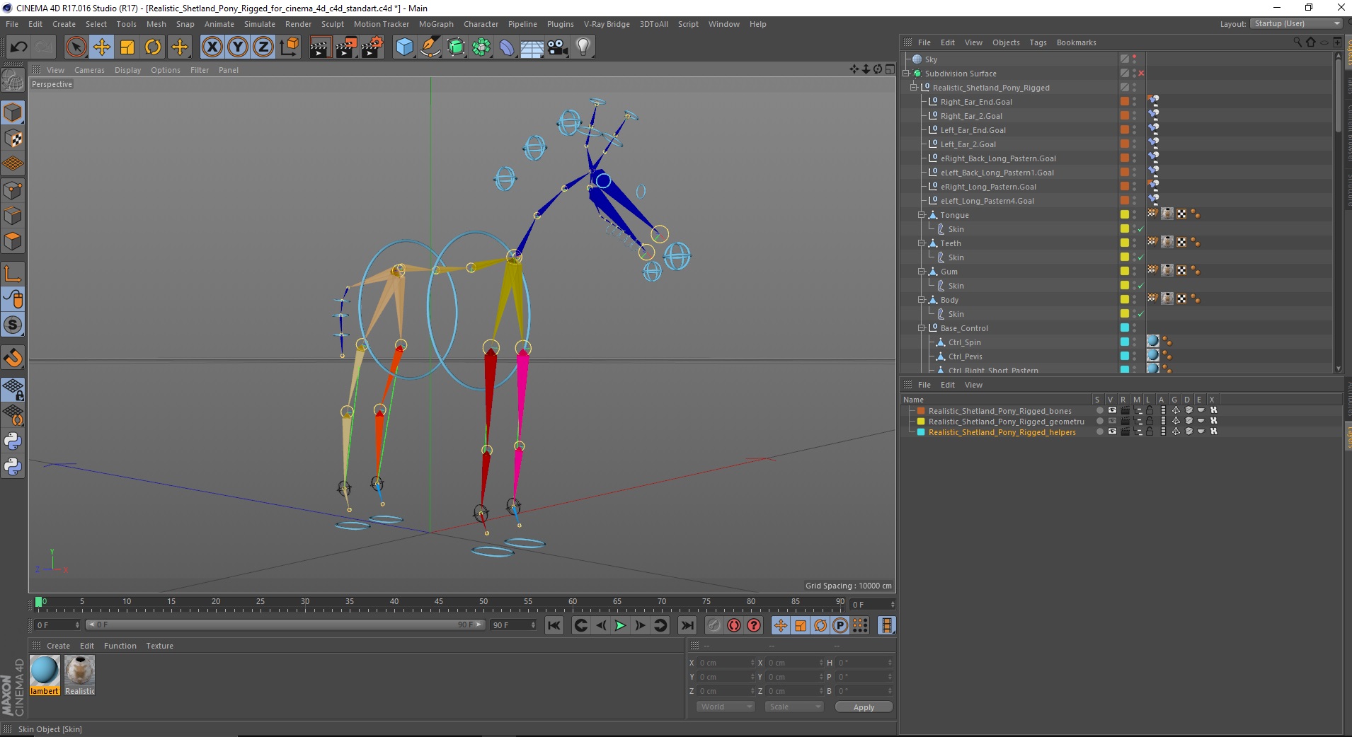 Realistic Shetland Pony Rigged for Cinema 4D 3D model