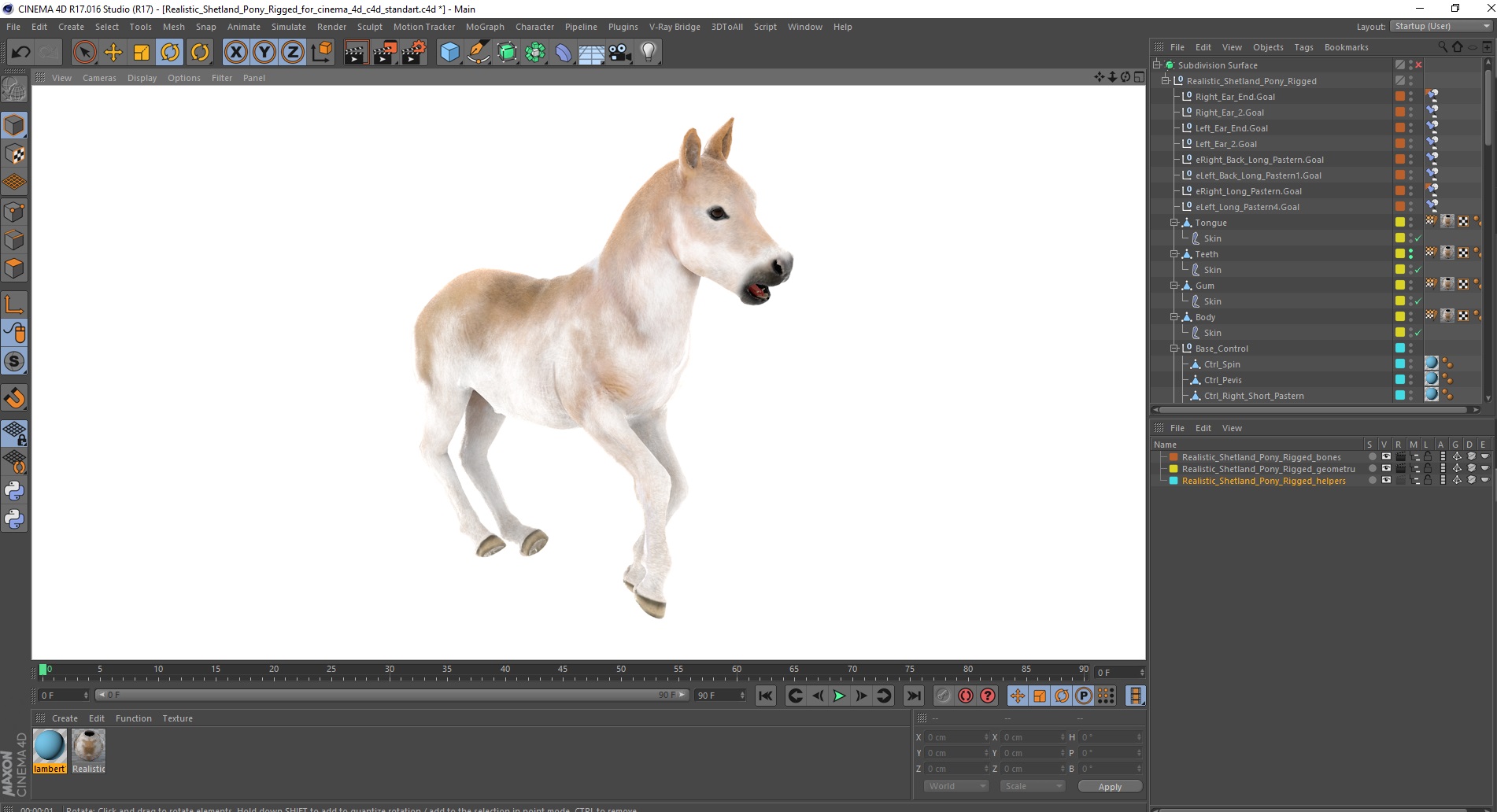 Realistic Shetland Pony Rigged for Cinema 4D 3D model