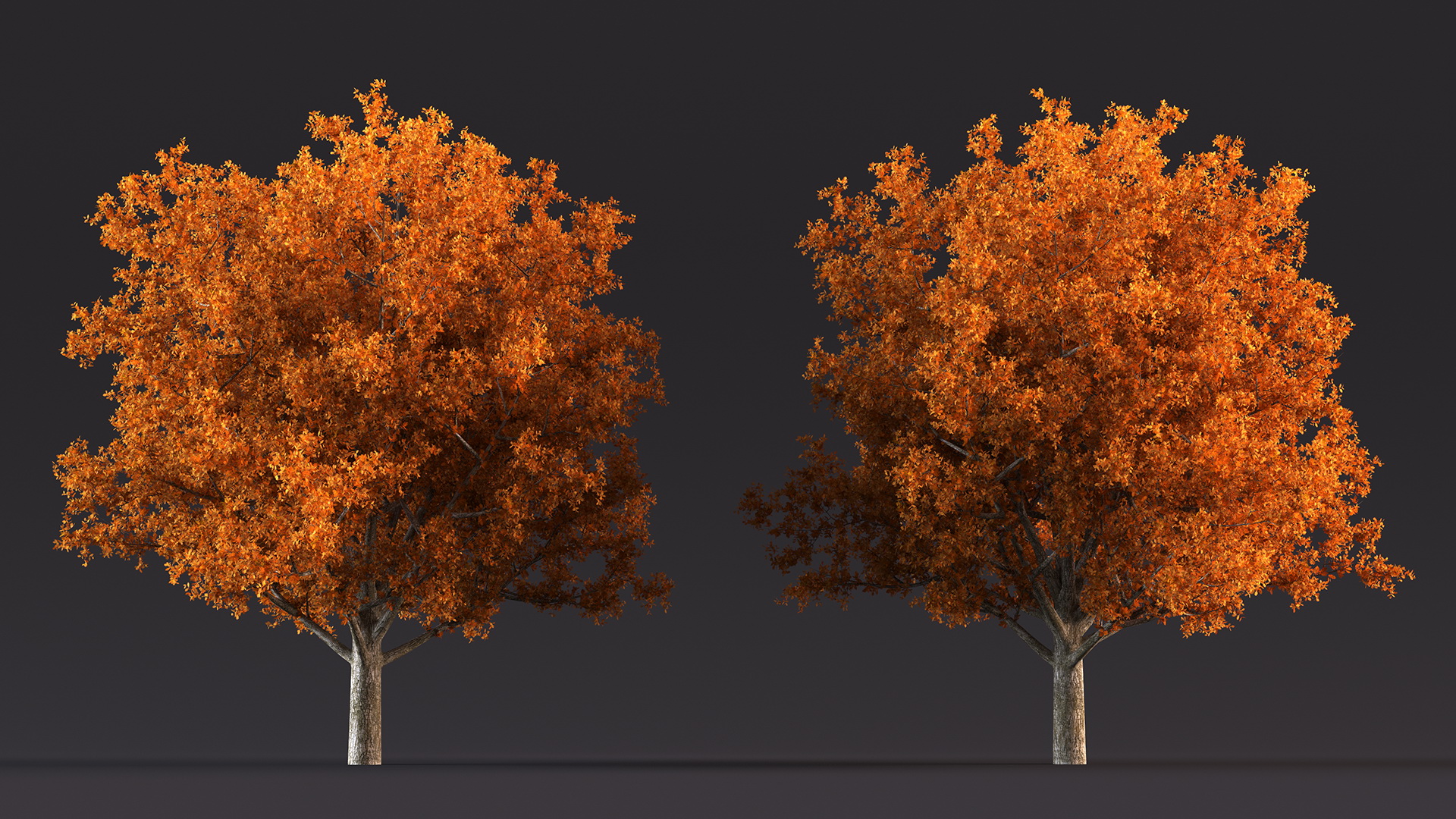 3D model Autumn Oak Tree