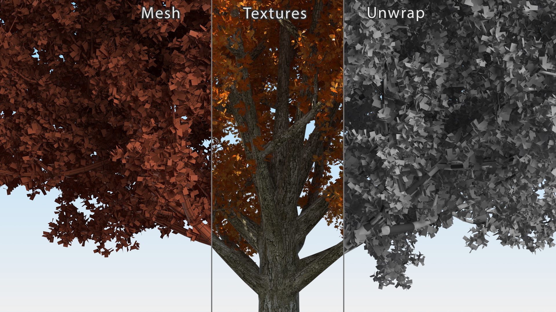 3D model Autumn Oak Tree