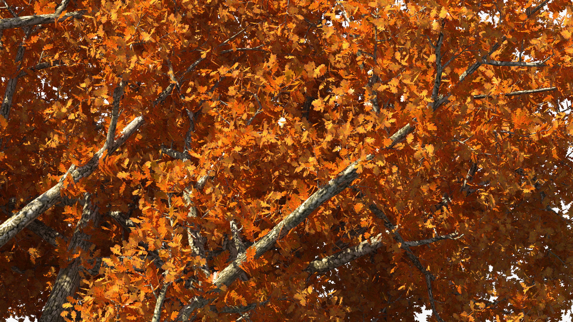 3D model Autumn Oak Tree