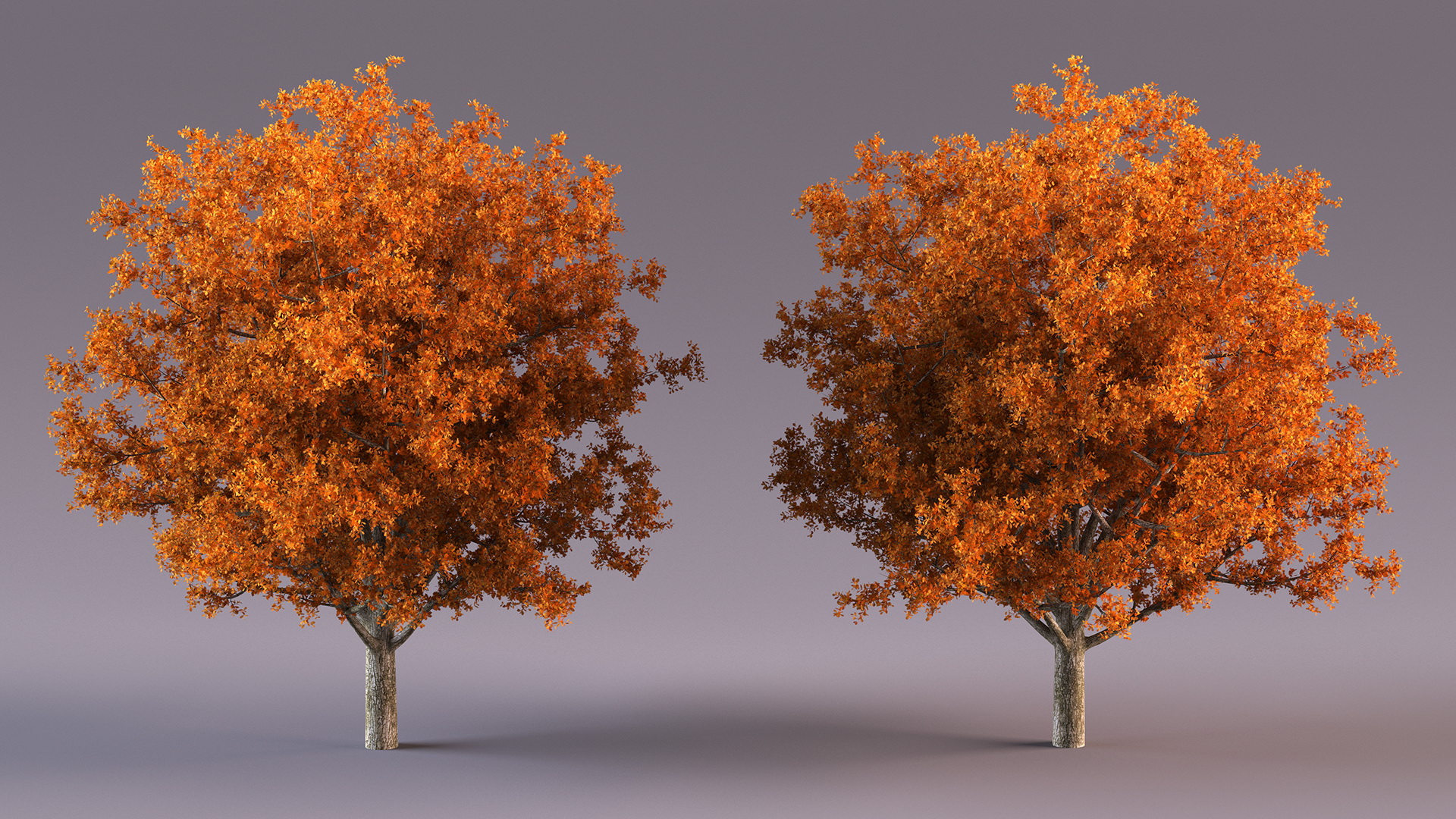 3D model Autumn Oak Tree