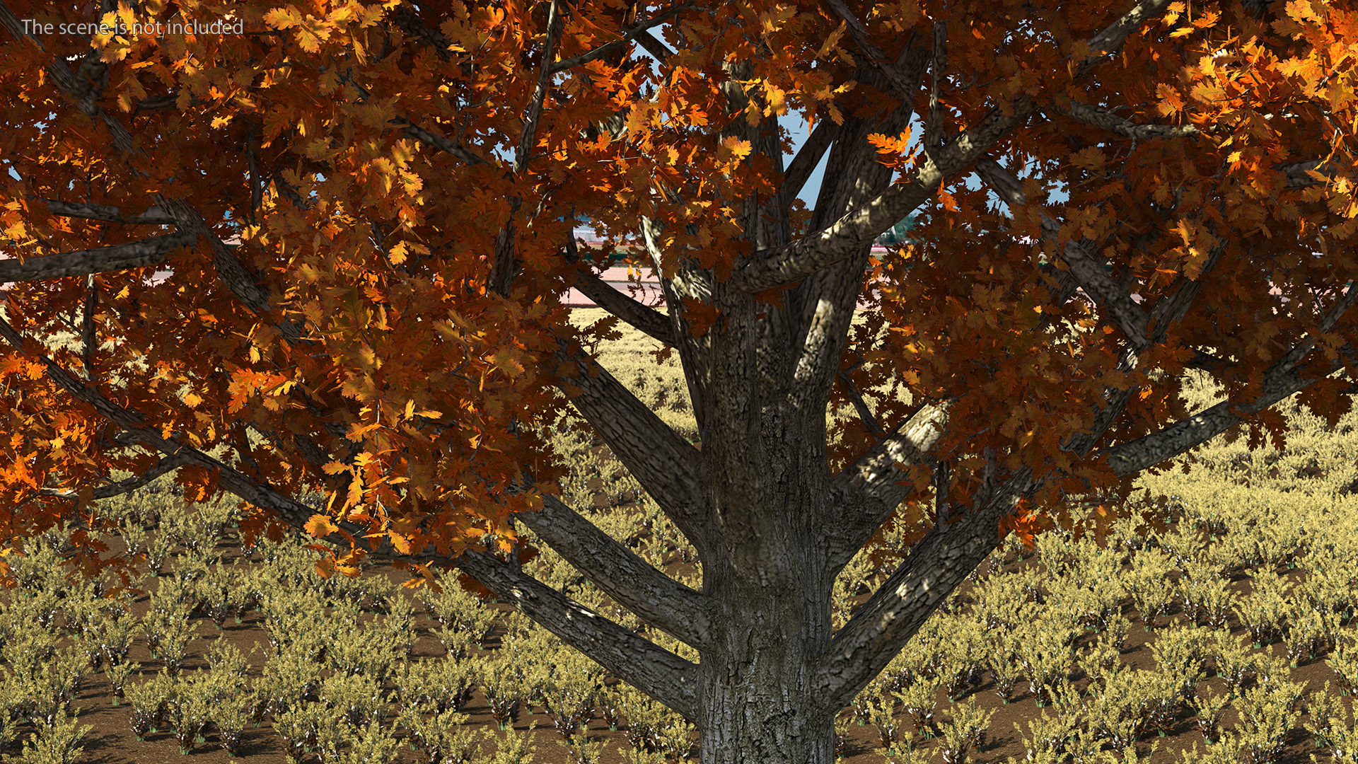 3D model Autumn Oak Tree
