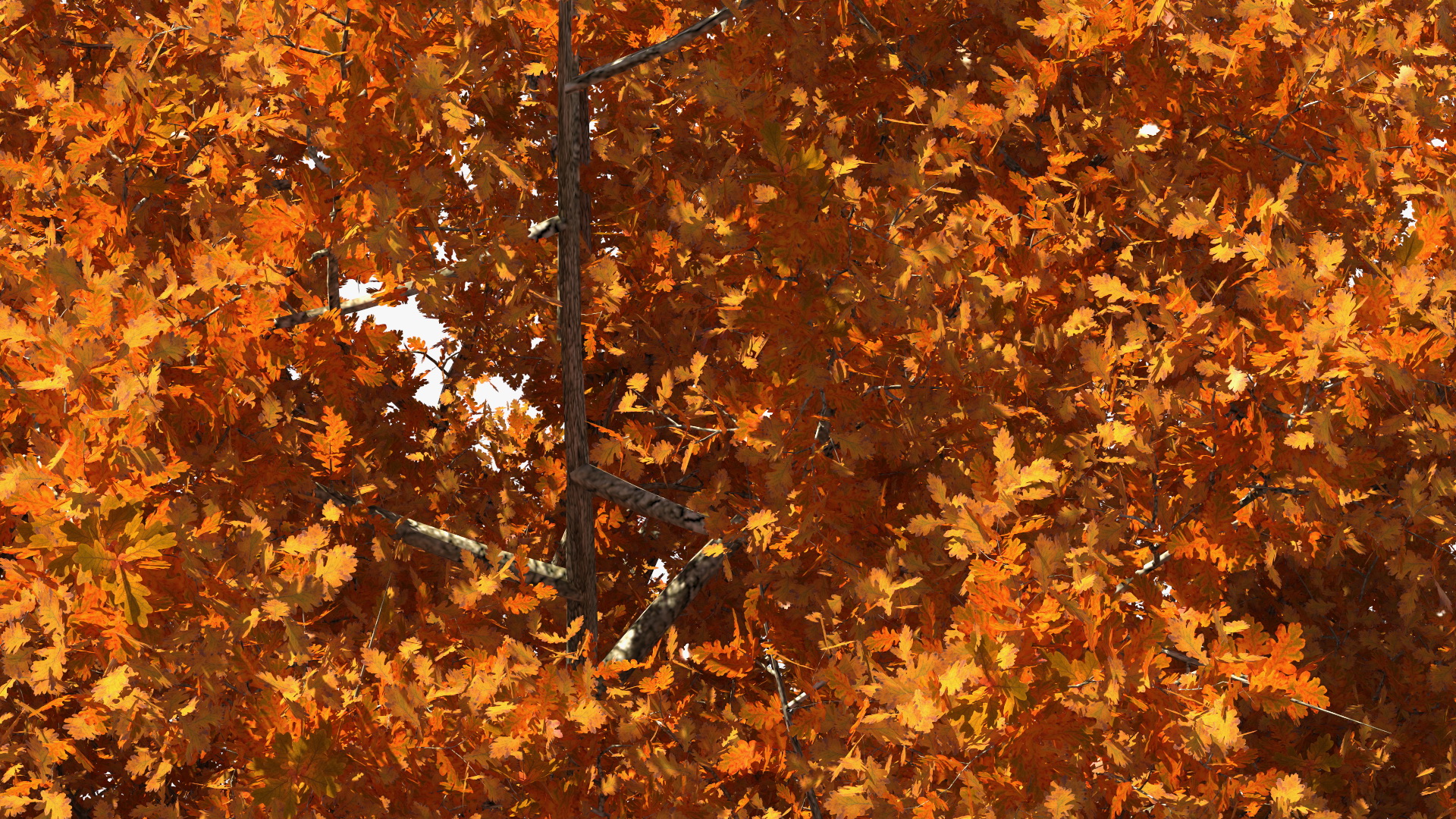 3D model Autumn Oak Tree