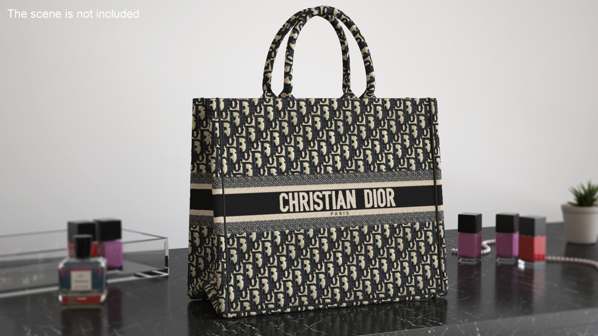 Christian Dior Book Tote Bag Ecru and Blue 3D