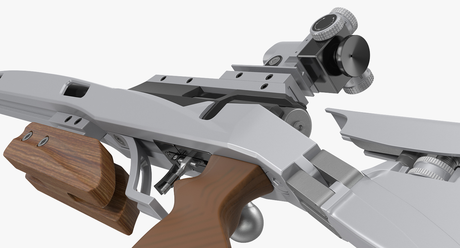 Biathlon Rifle 3D model