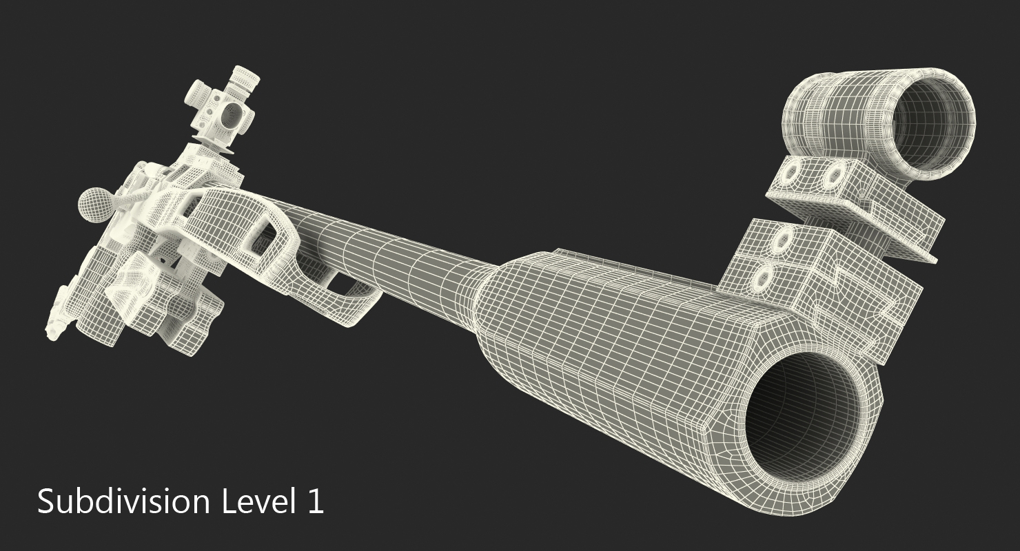 Biathlon Rifle 3D model