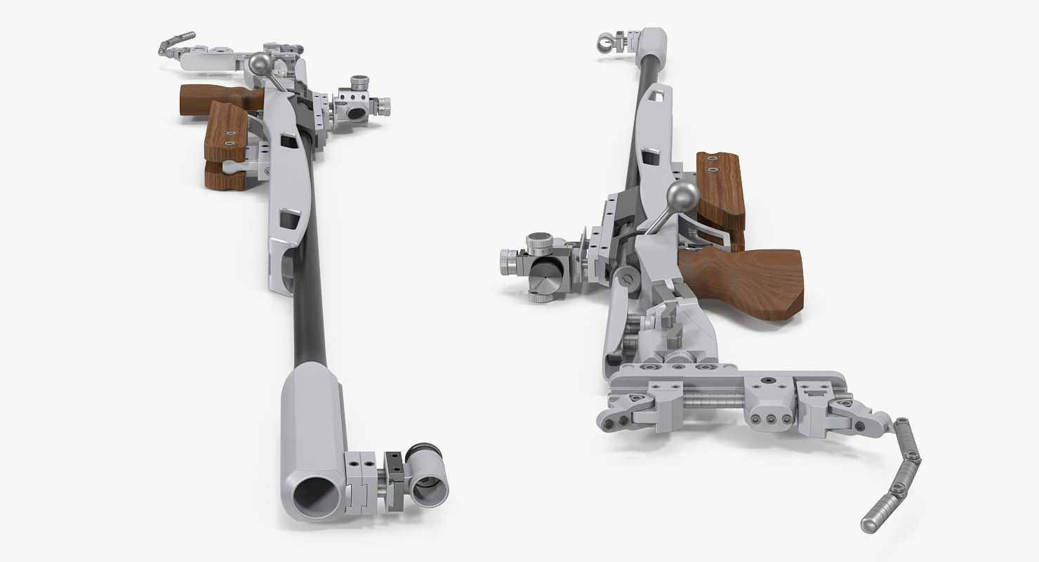 Biathlon Rifle 3D model