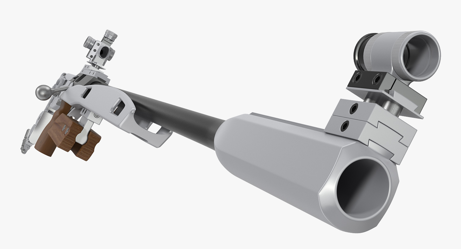 Biathlon Rifle 3D model