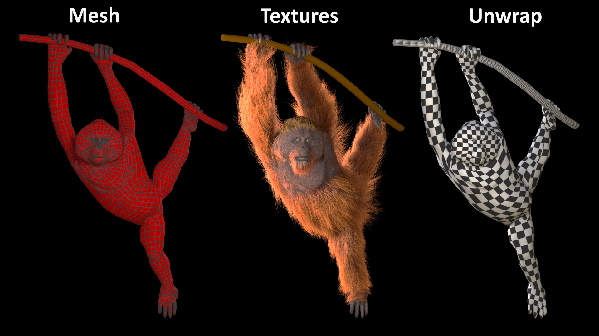3D Orangutan Hanging on Branch Fur