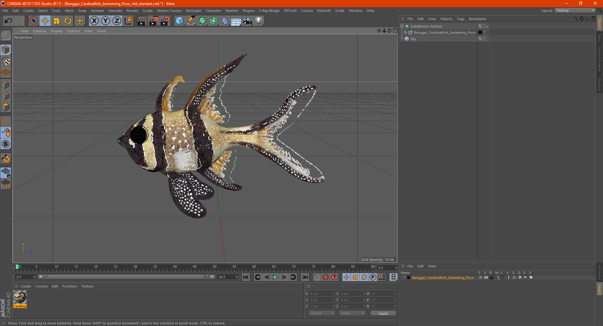 Banggai Cardinalfish Swimming Pose 3D model