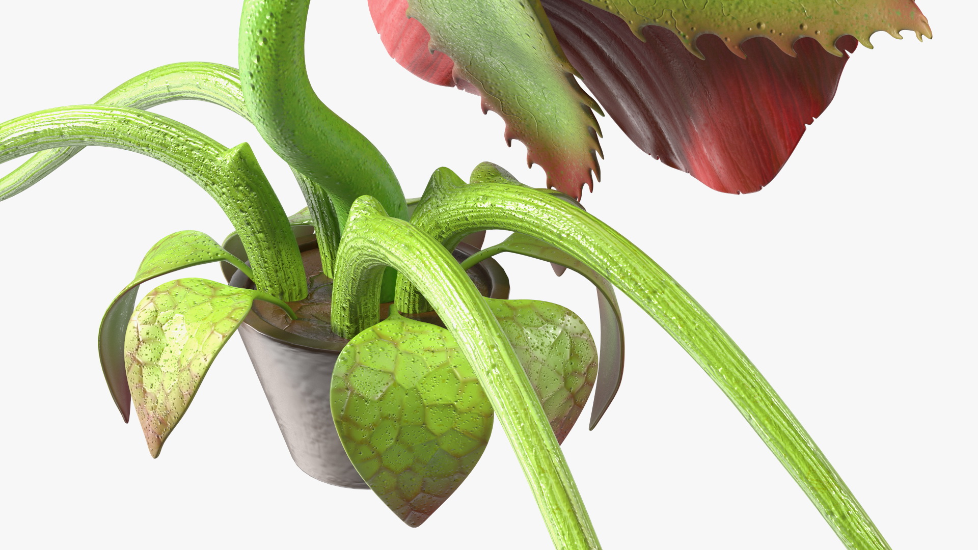 3D model Halloween Monster Plant Rigged
