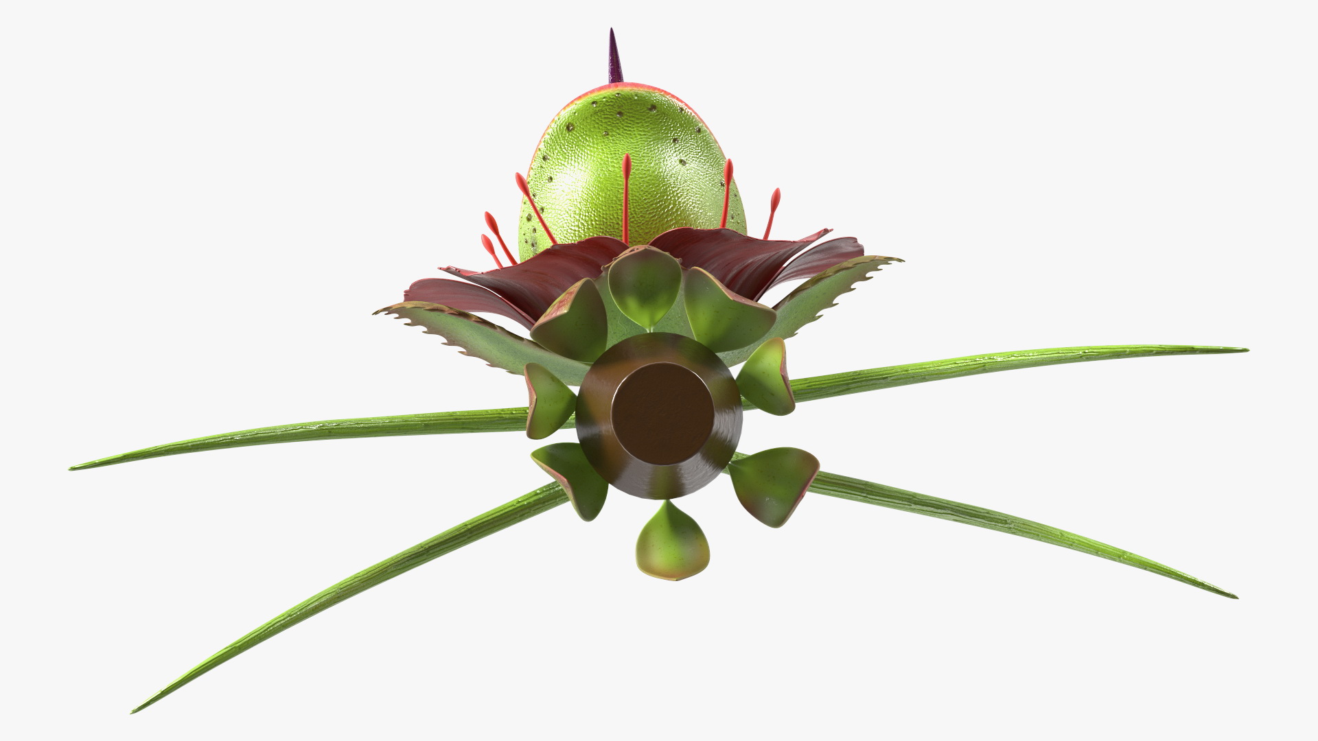 3D model Halloween Monster Plant Rigged