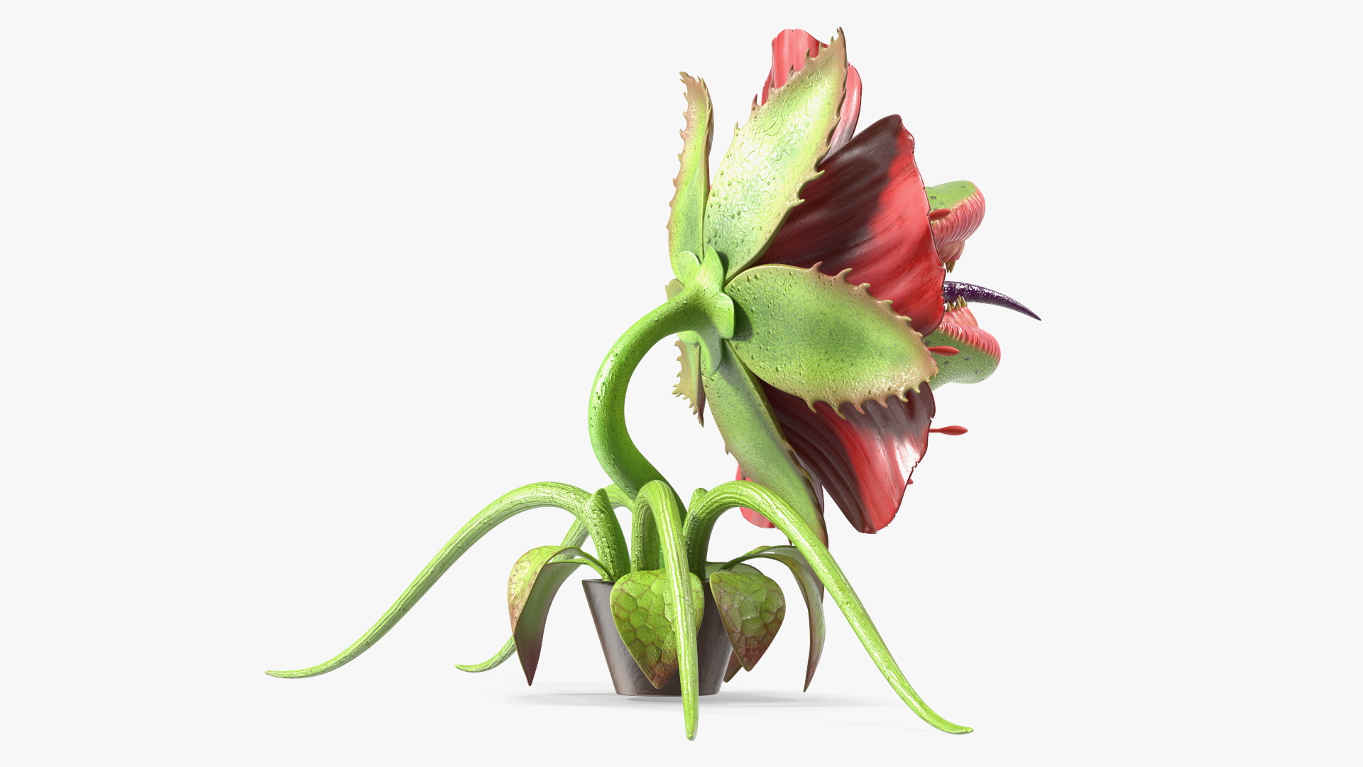 3D model Halloween Monster Plant Rigged