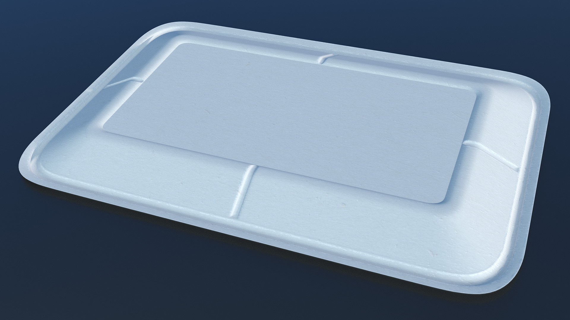 3D White Disposable Paper Plate model