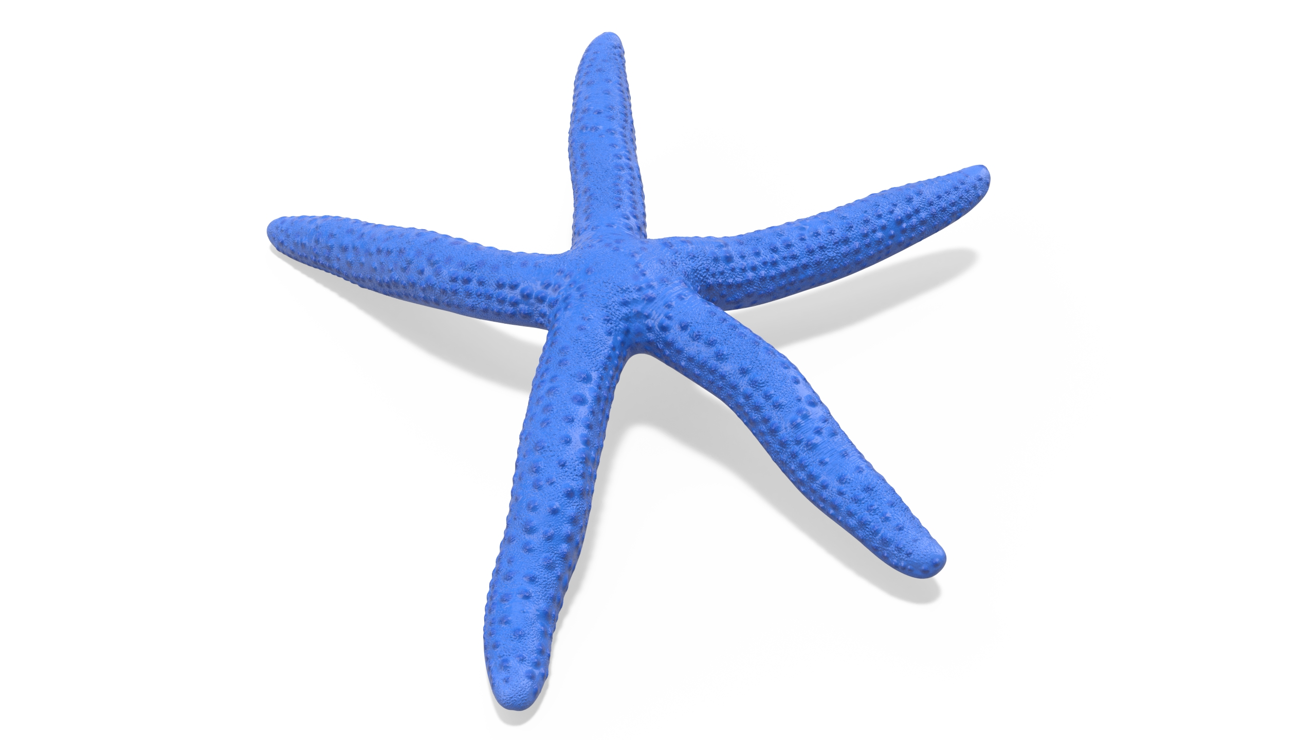 3D Linckia Laevigata Lying Pose model