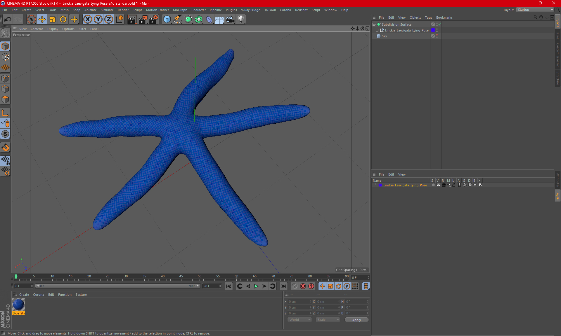 3D Linckia Laevigata Lying Pose model