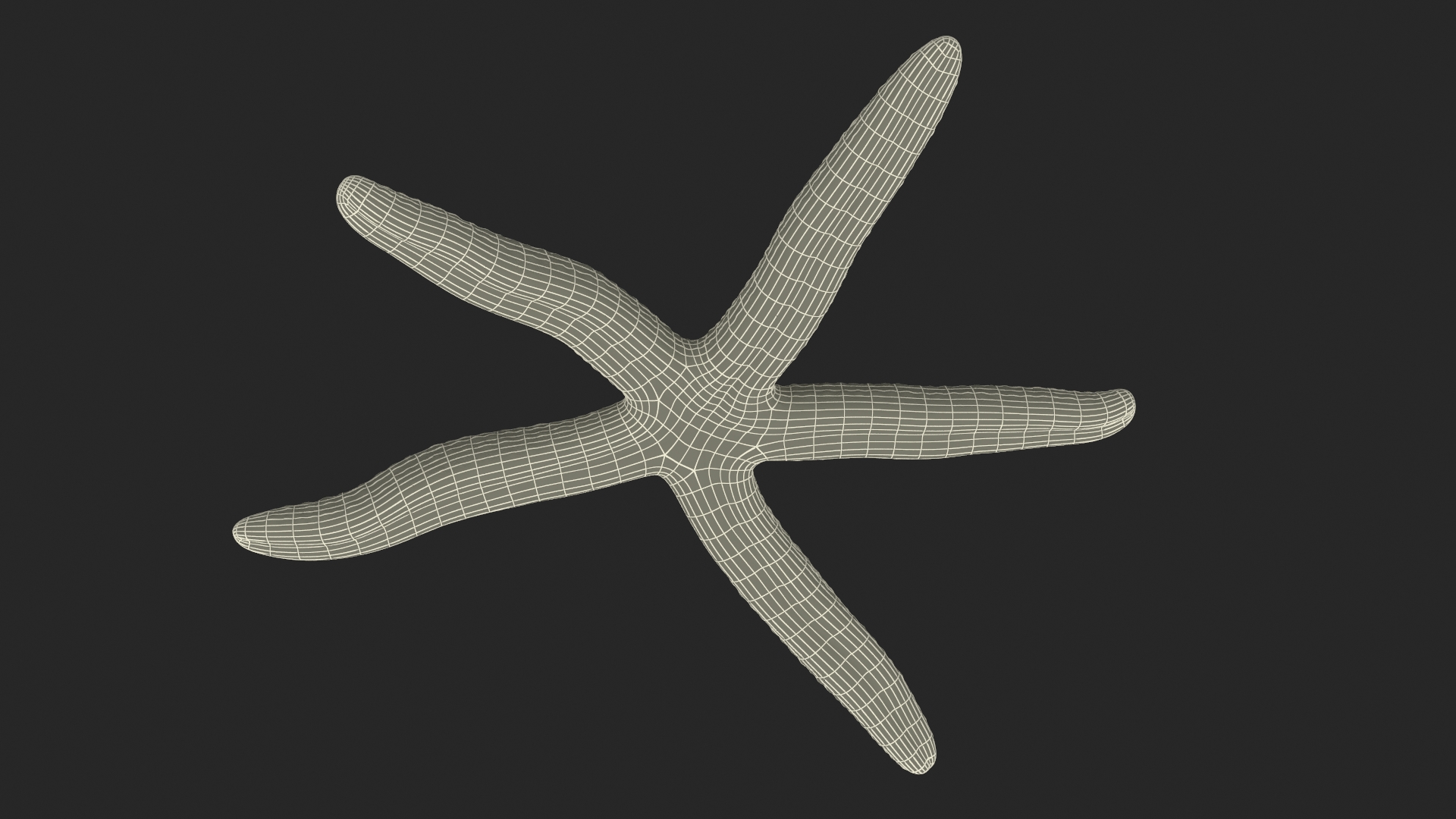 3D Linckia Laevigata Lying Pose model