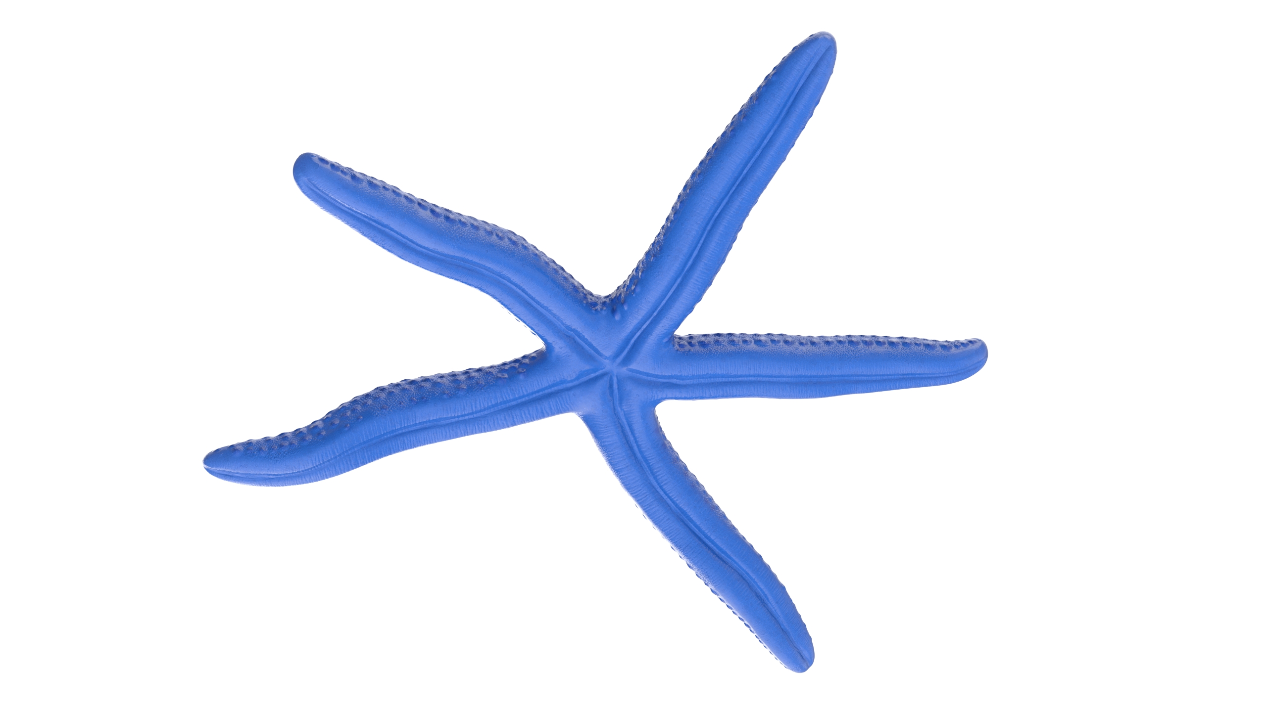 3D Linckia Laevigata Lying Pose model